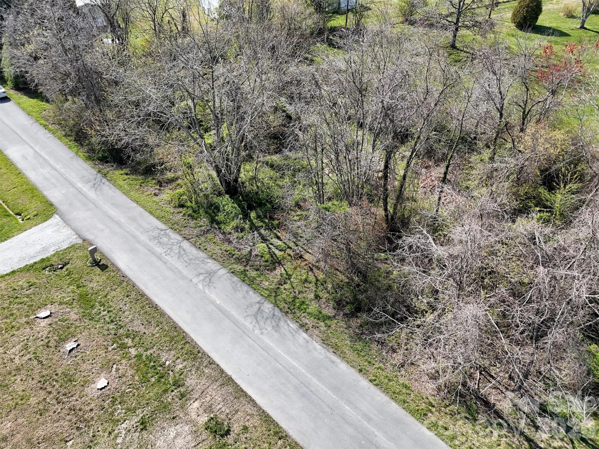 TBD Maplewood Knoll Drive - Photo 6