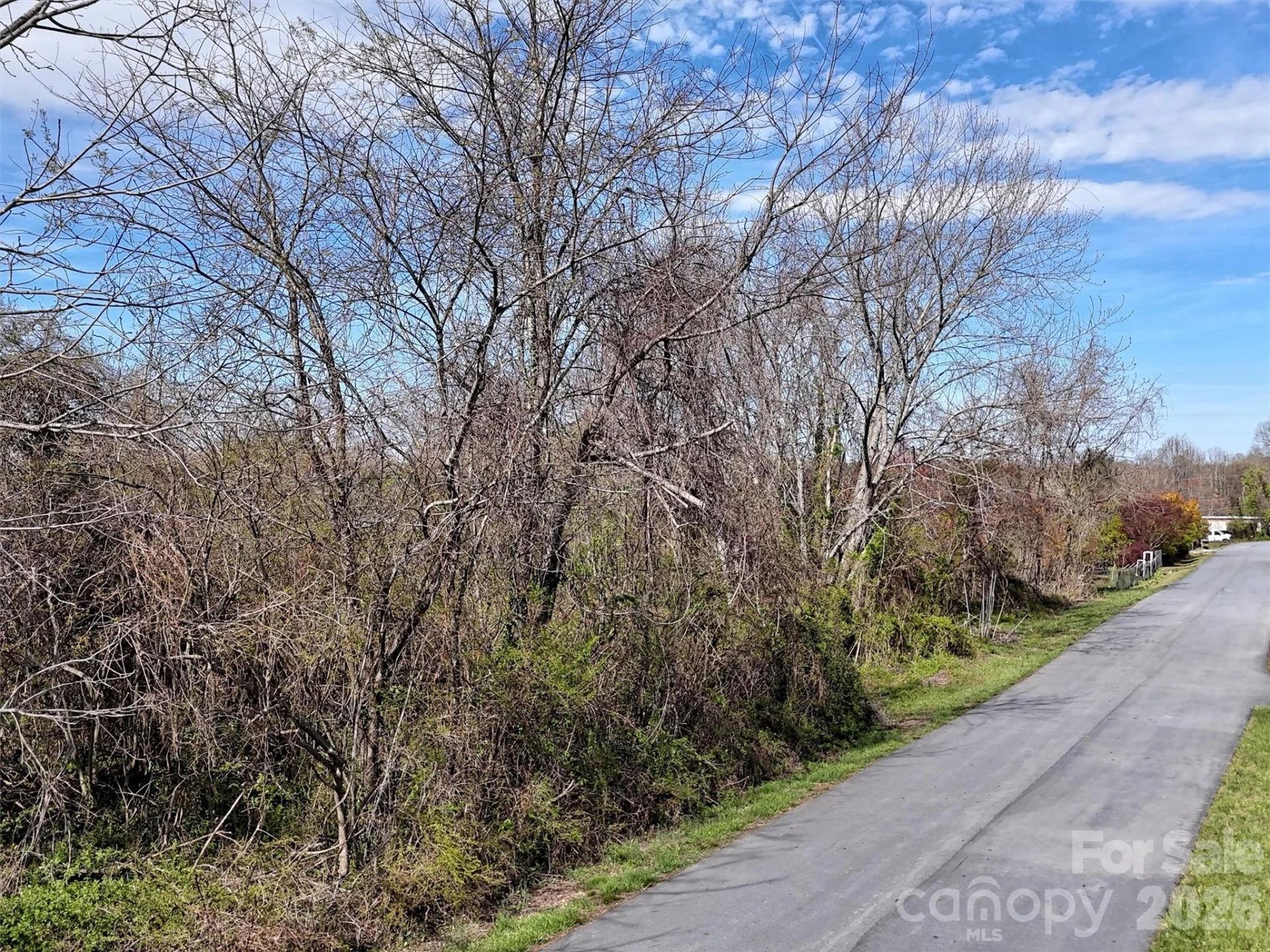 TBD Maplewood Knoll Drive - Photo 7
