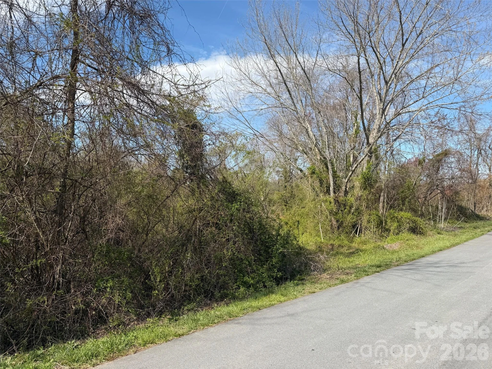 TBD Maplewood Knoll Drive - Photo 9