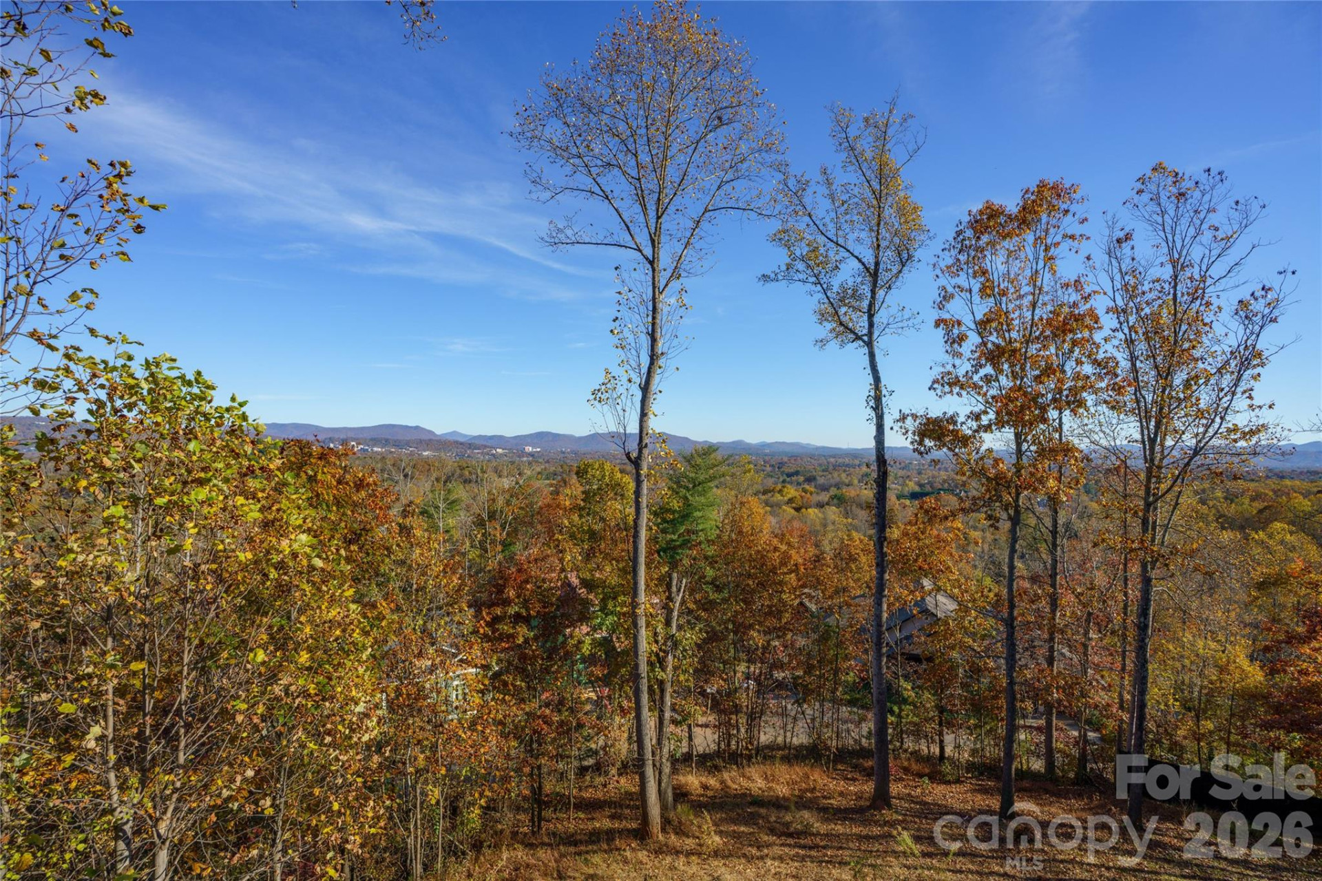 41 Ben Lippen School Road - Photo 39