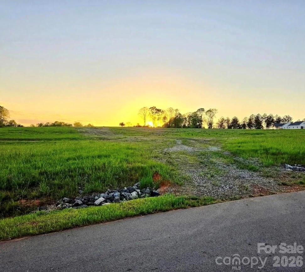 2033 Crestone Way #239 - Photo 2