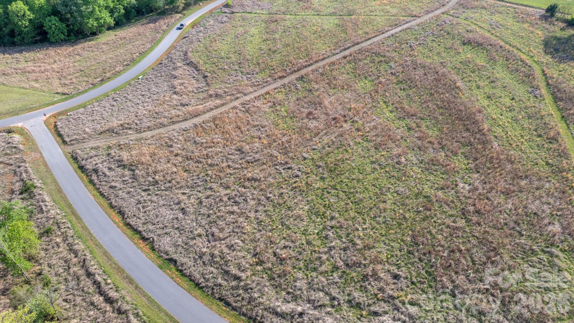 2033 Crestone Way #239 - Photo 11