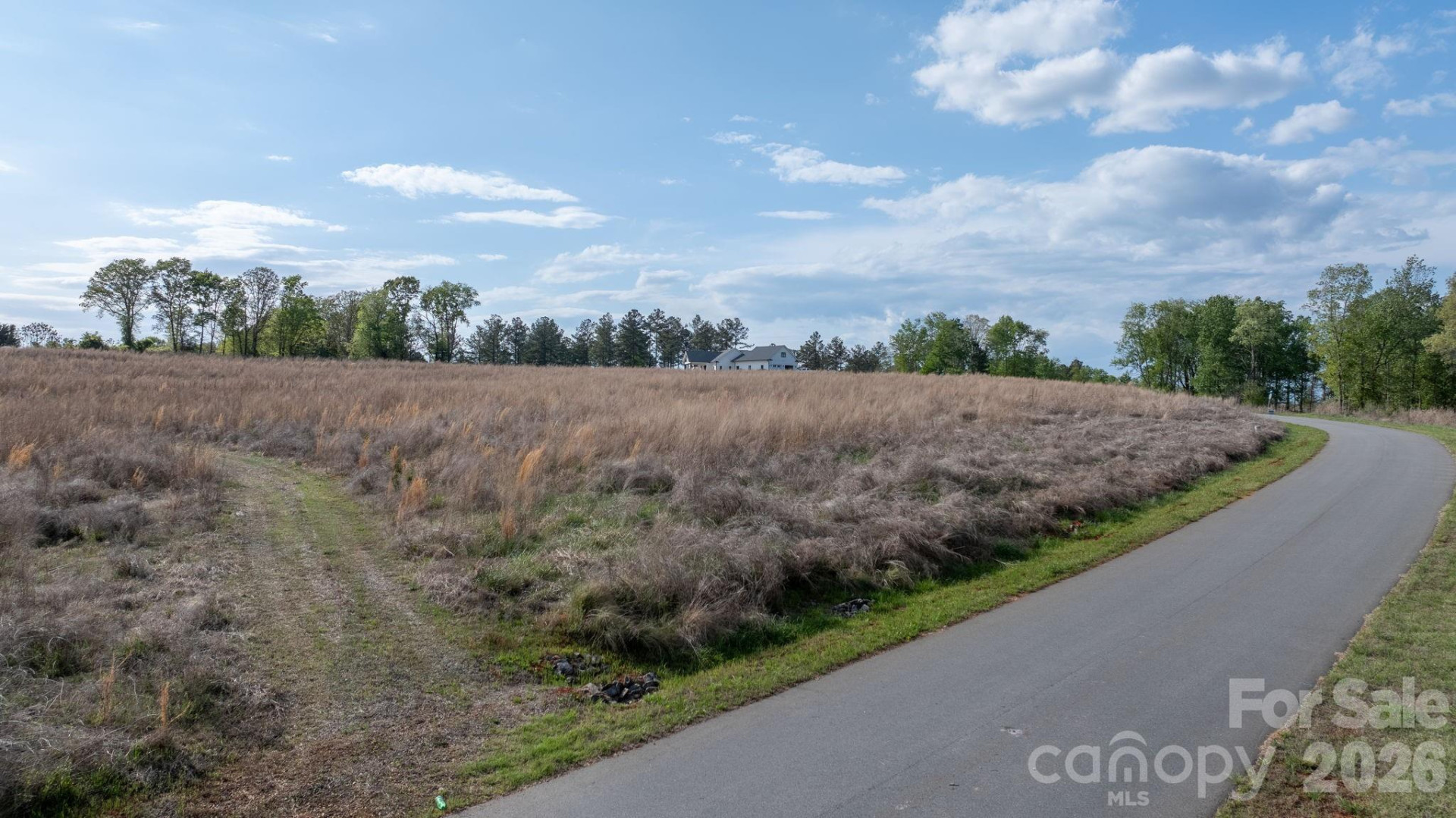 2033 Crestone Way #239 - Photo 13