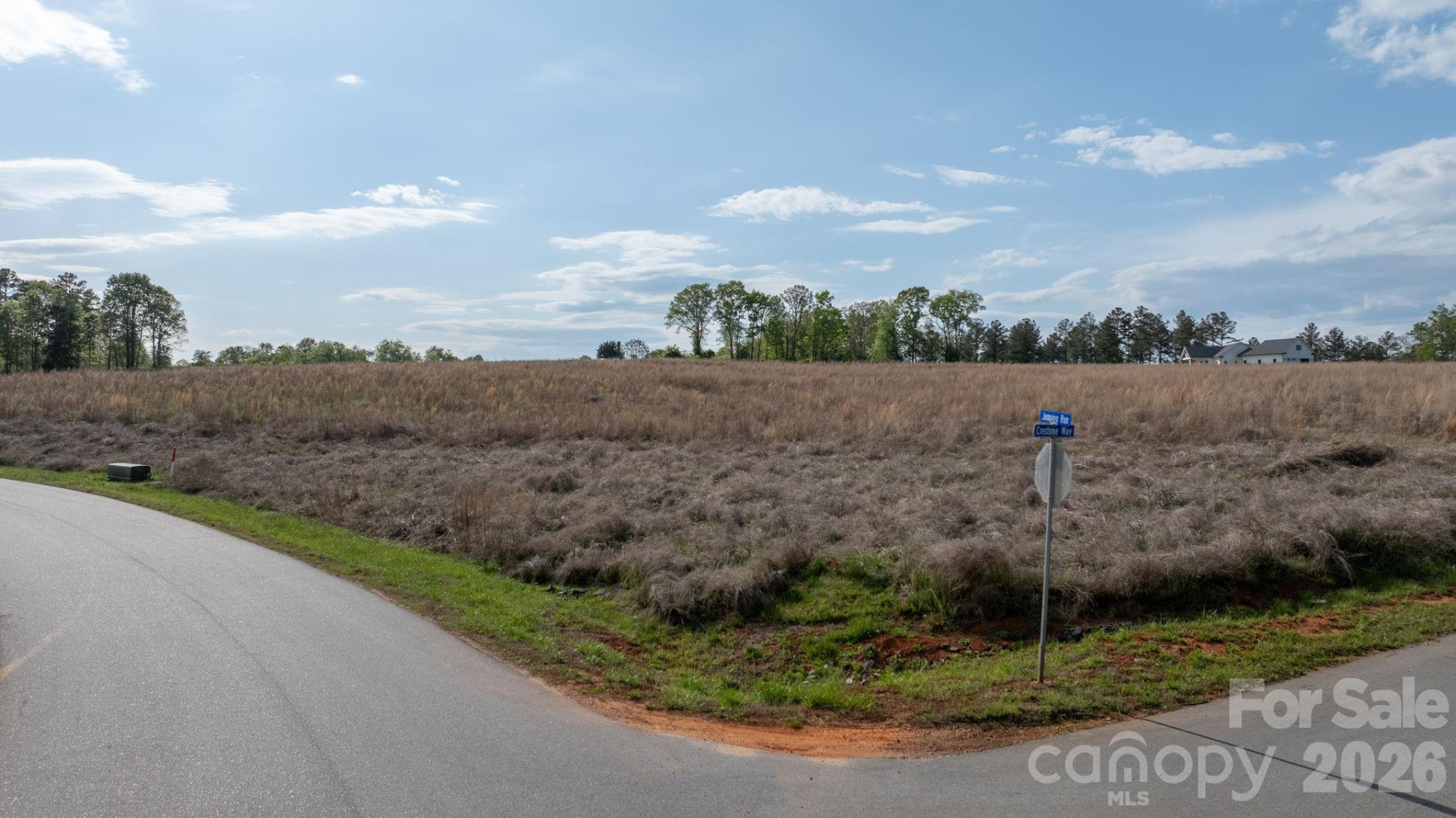 2033 Crestone Way #239 - Photo 18