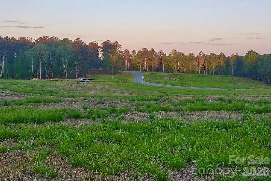 2033 Crestone Way #239 - Photo 3