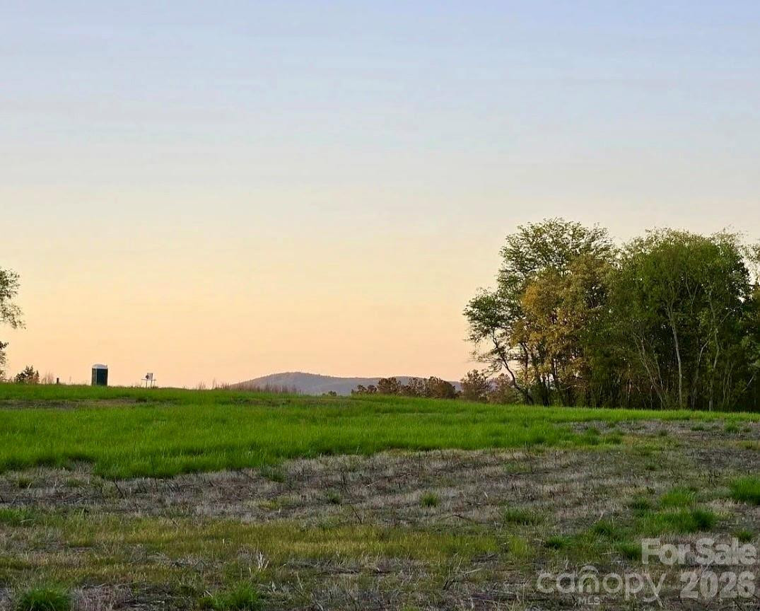 2033 Crestone Way #239 - Photo 4