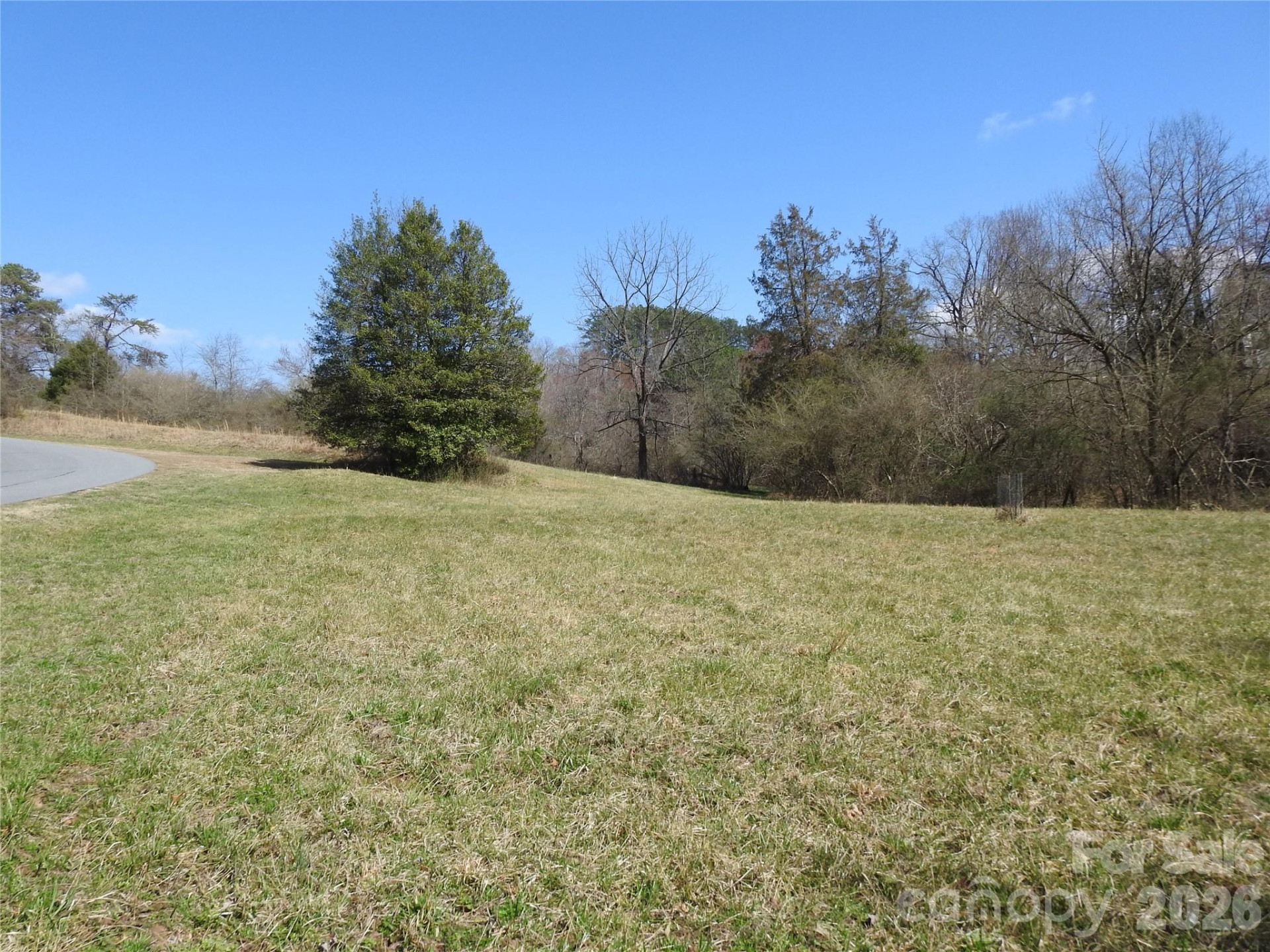 00 Laurel Lakes Parkway #Lot 1 - Photo 2