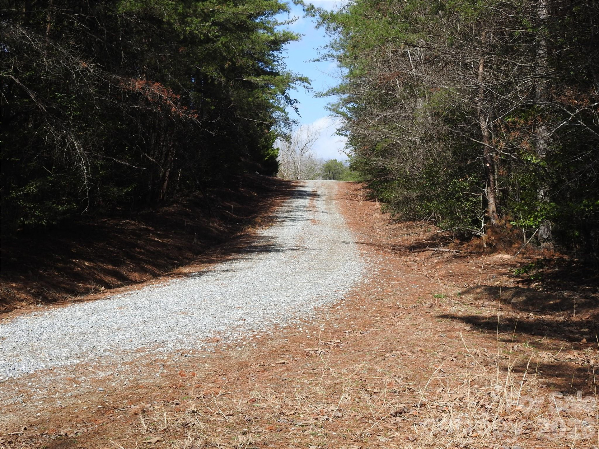 00 Laurel Lakes Parkway #Lot 1 - Photo 11