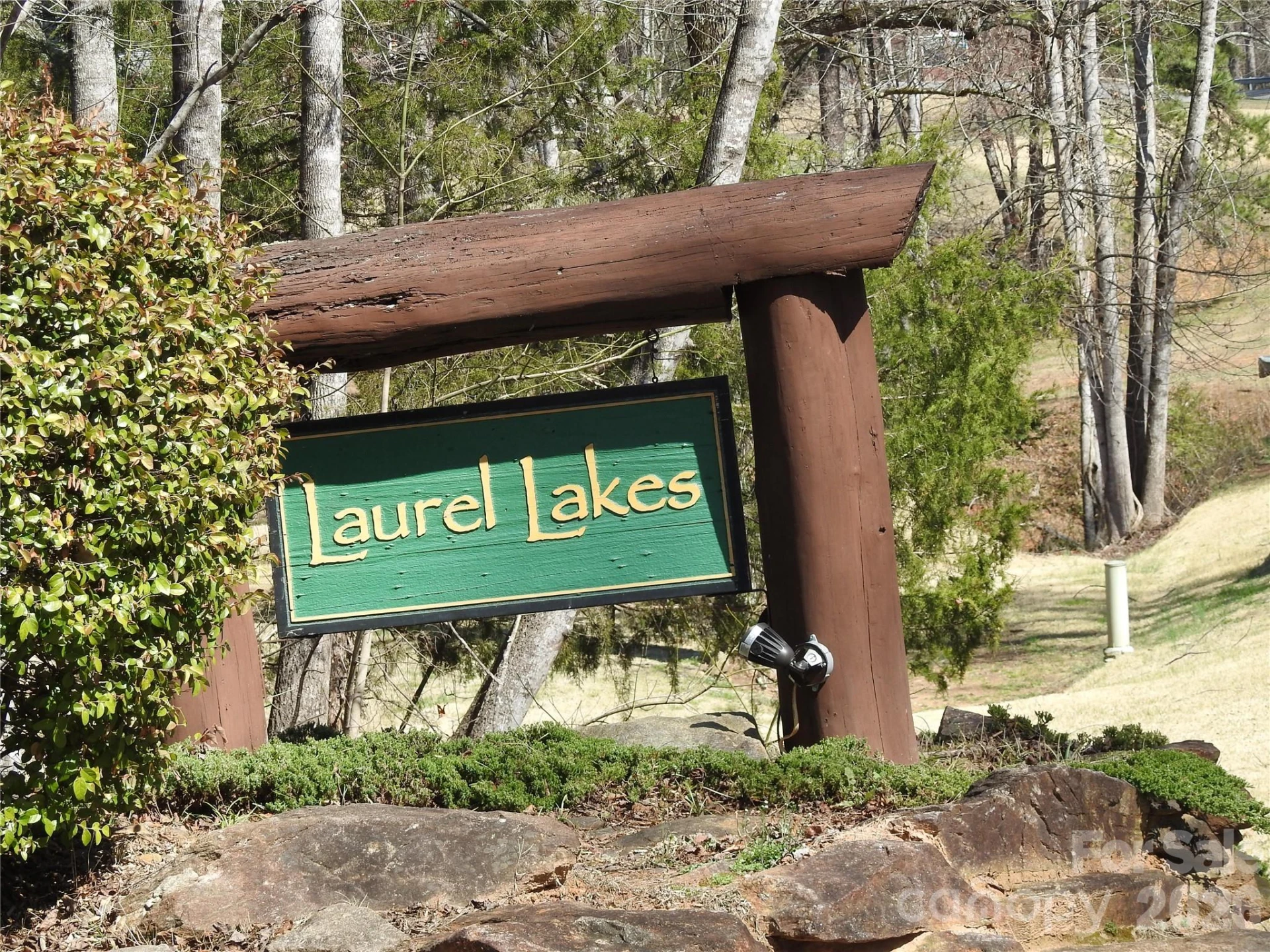 00 Laurel Lakes Parkway #Lot 1 - Photo 19