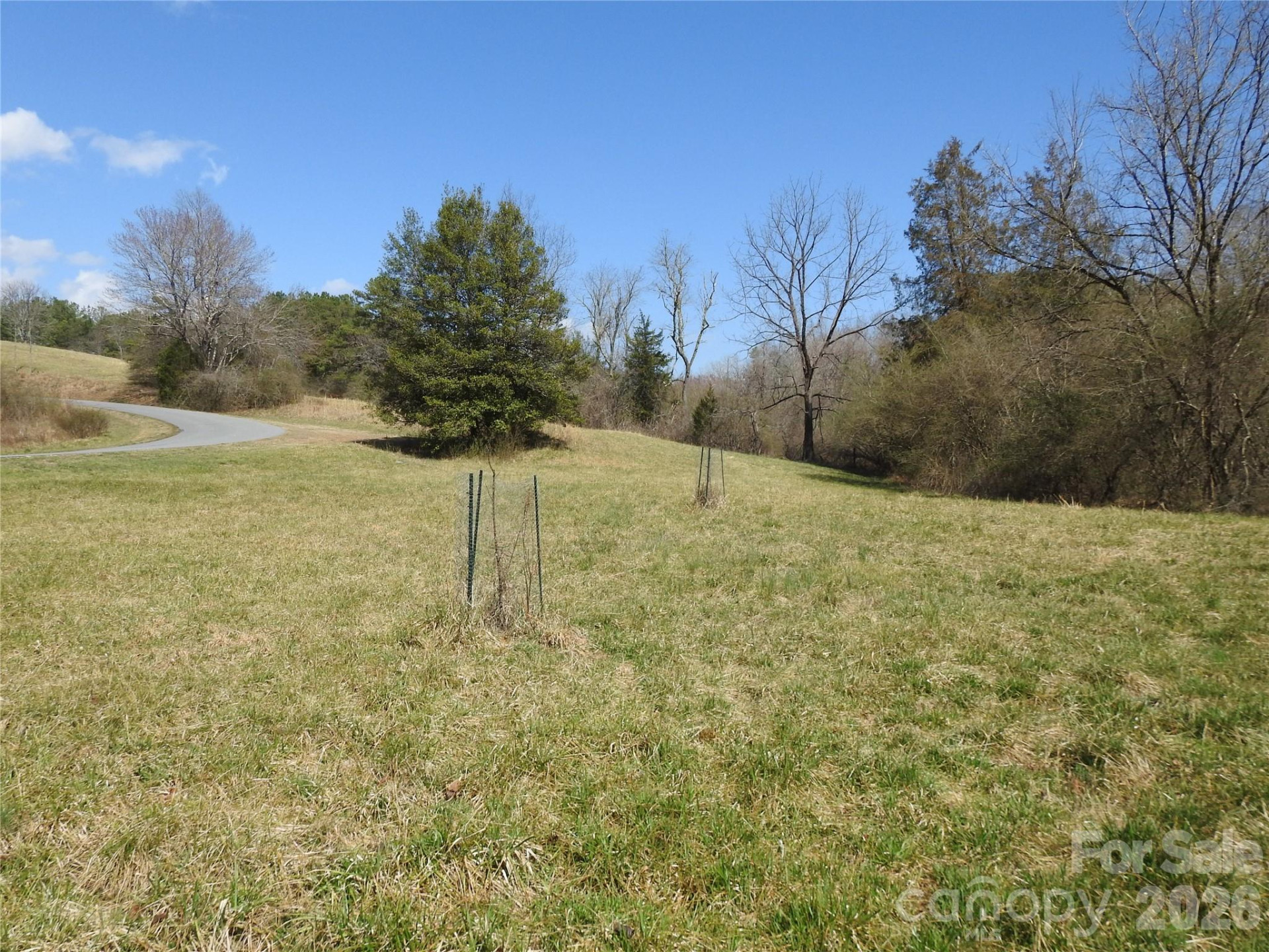 00 Laurel Lakes Parkway #Lot 1 - Photo 3