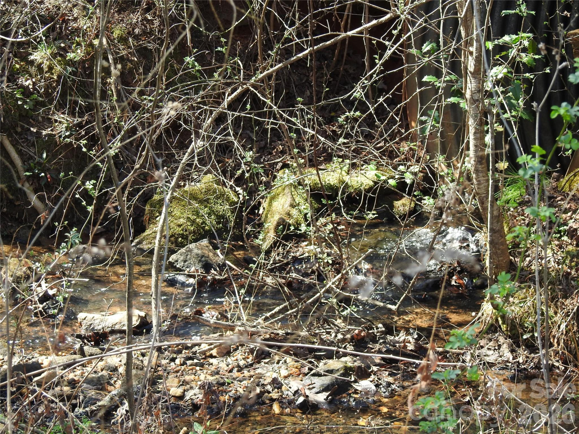 00 Laurel Lakes Parkway #Lot 1 - Photo 4