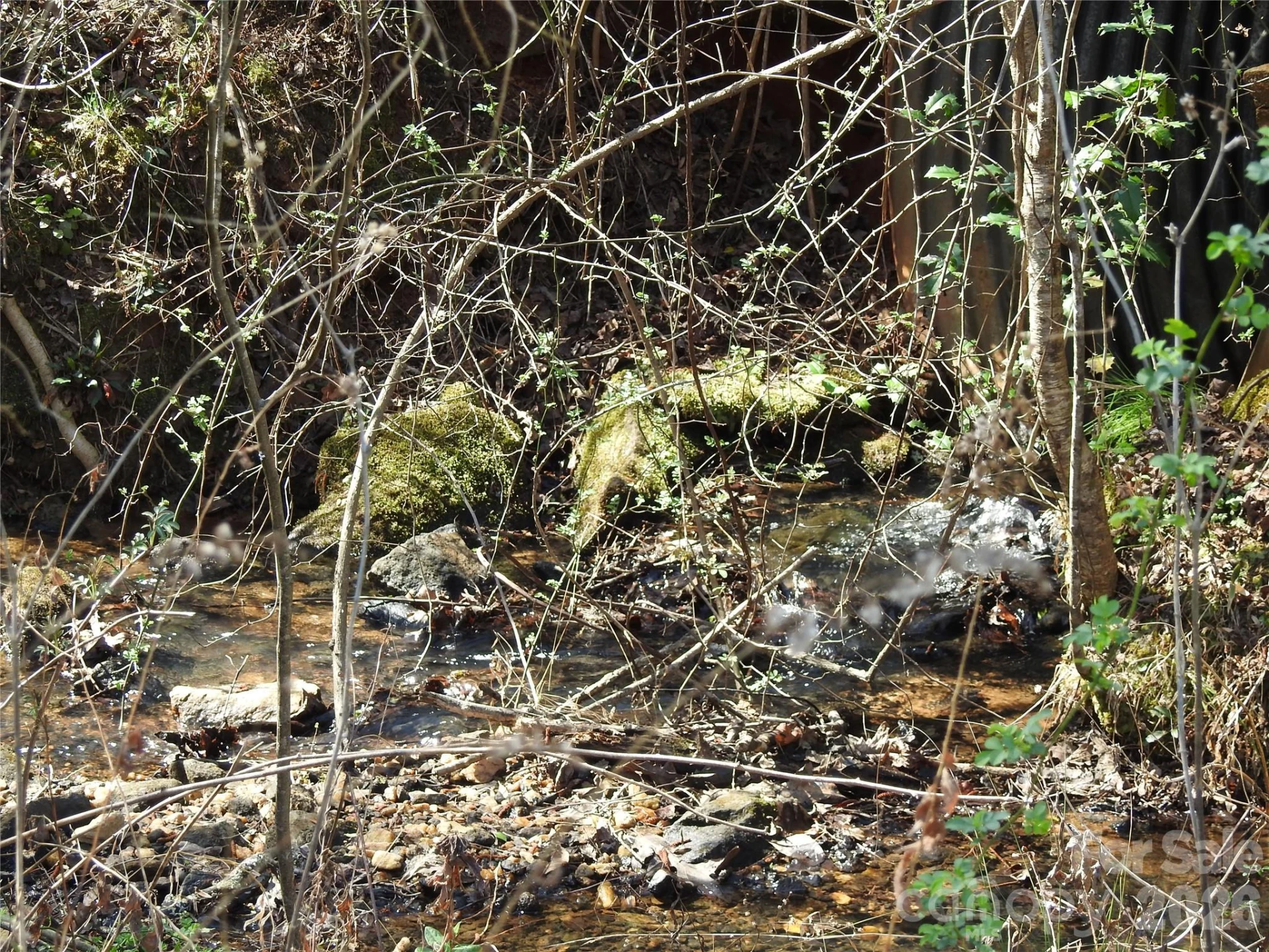 00 Laurel Lakes Parkway #Lot 1 - Photo 4