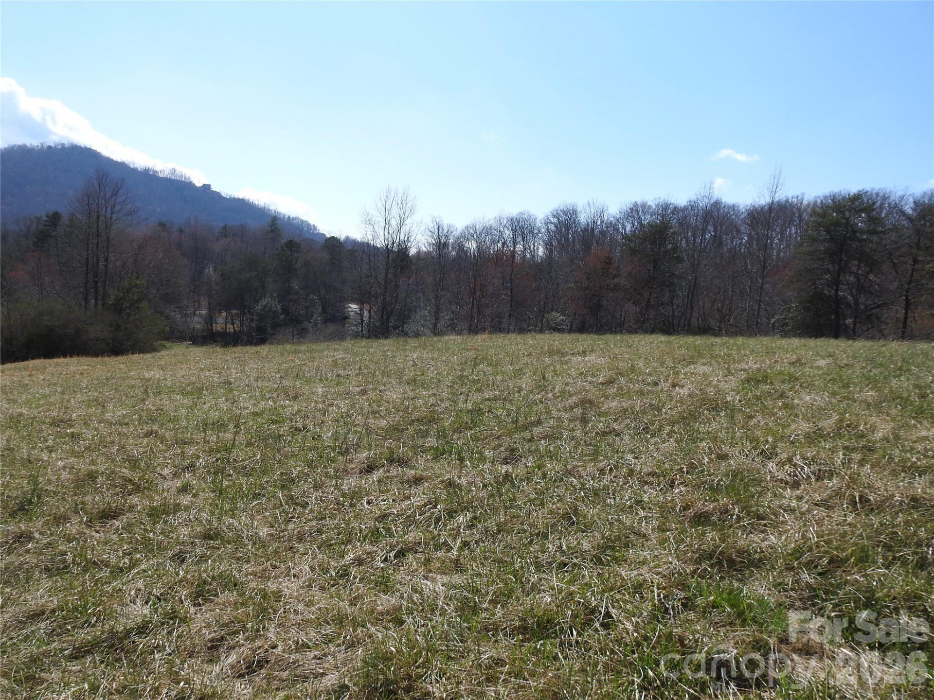 00 Laurel Lakes Parkway #Lot 1 - Photo 5