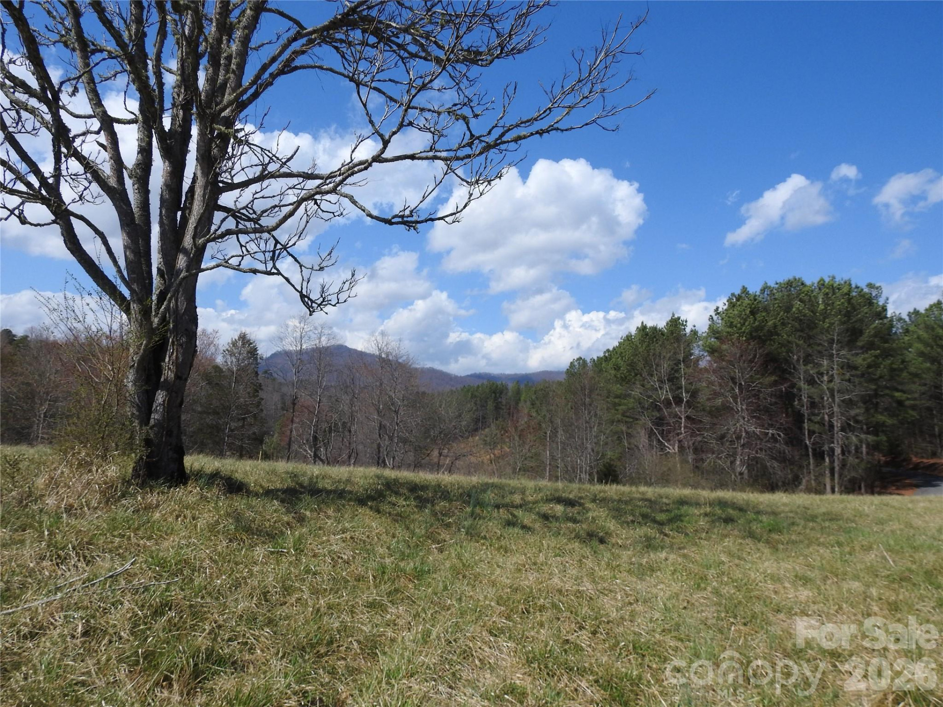 00 Laurel Lakes Parkway #Lot 1 - Photo 6