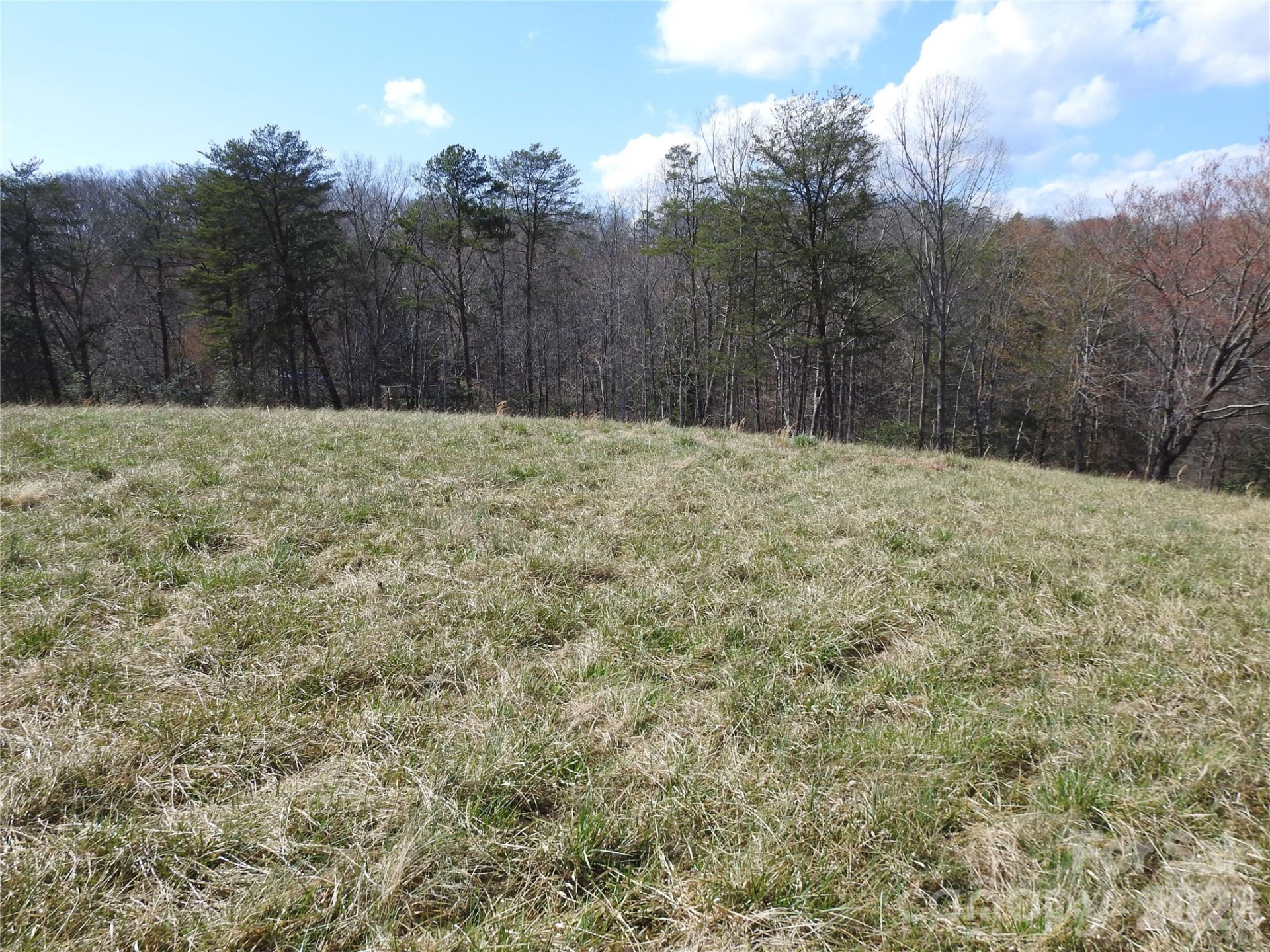 00 Laurel Lakes Parkway #Lot 1 - Photo 7