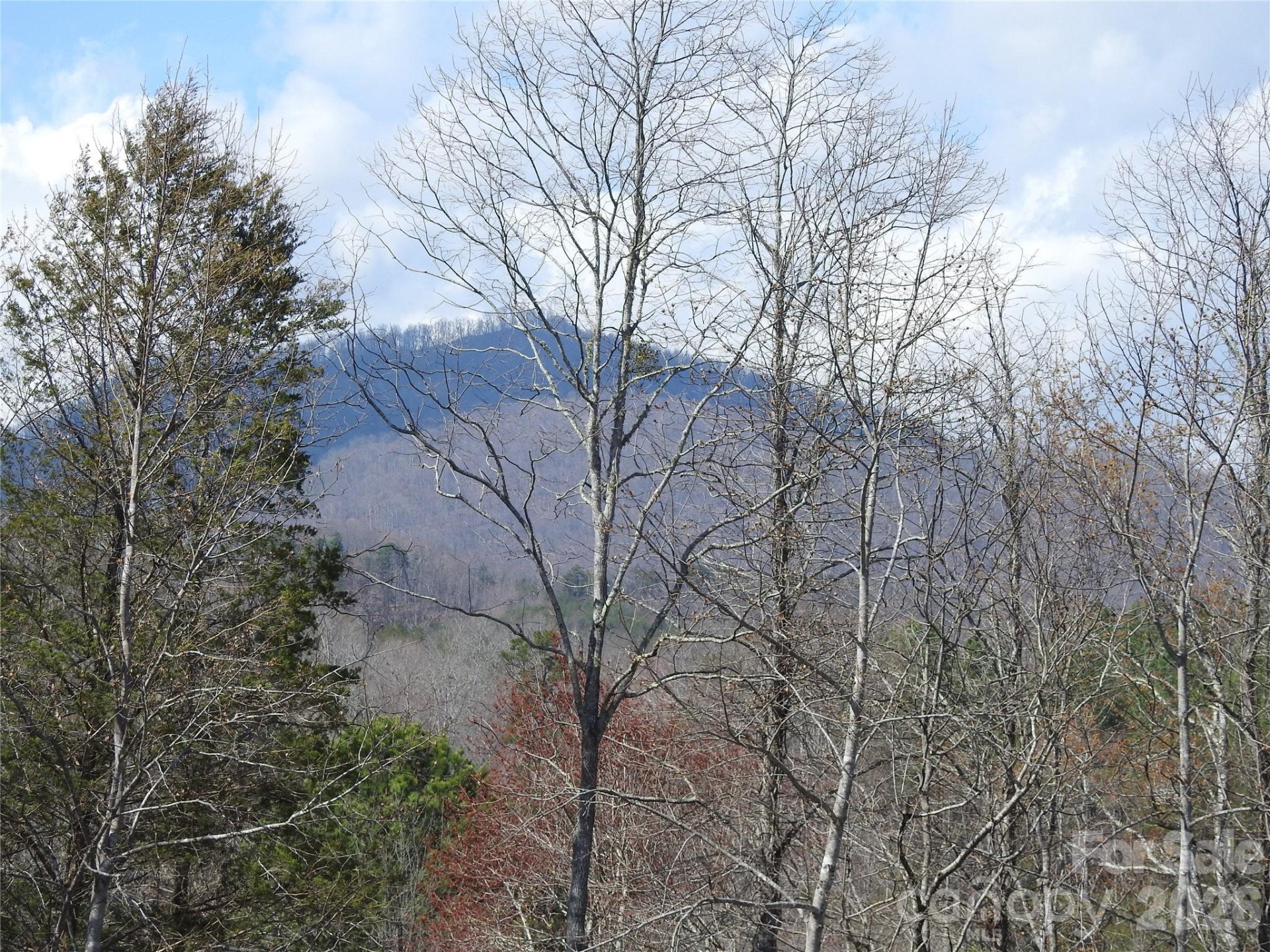 00 Laurel Lakes Parkway #Lot 1 - Photo 9