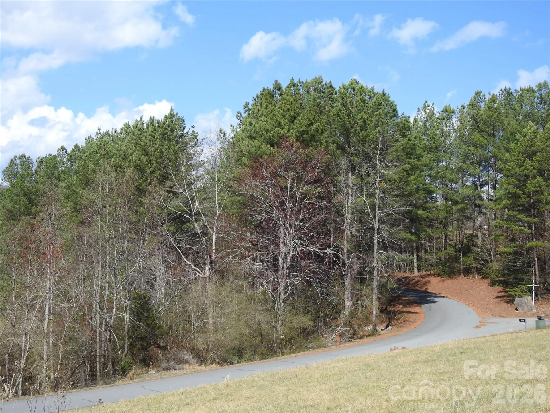 00 Laurel Lakes Parkway #Lot 1 - Photo 10