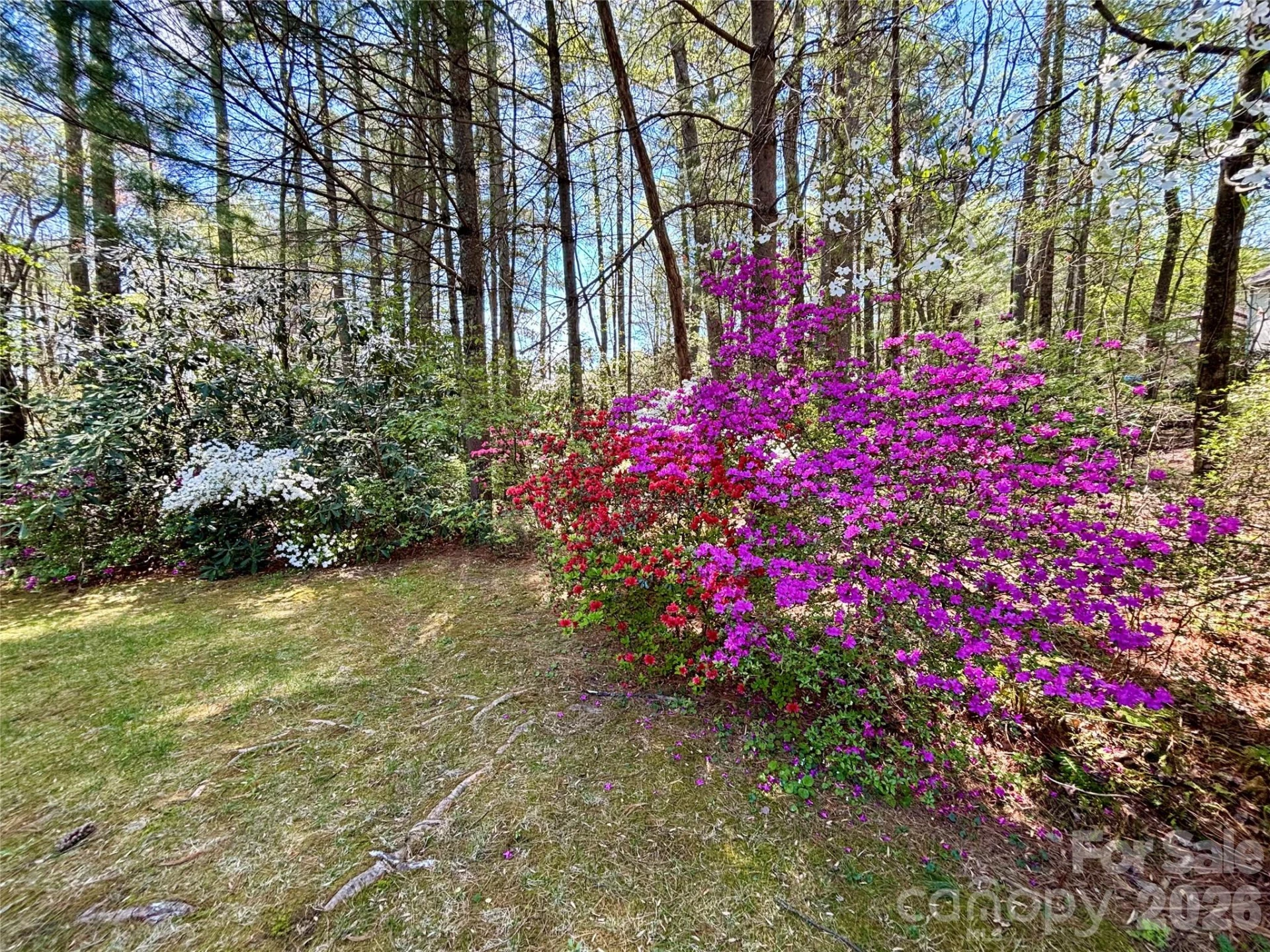 3011 Essex Court - Photo 6