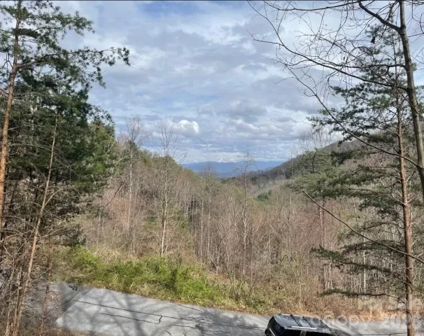 92 Mountain Magnolia Drive, Leicester, NC, 28748