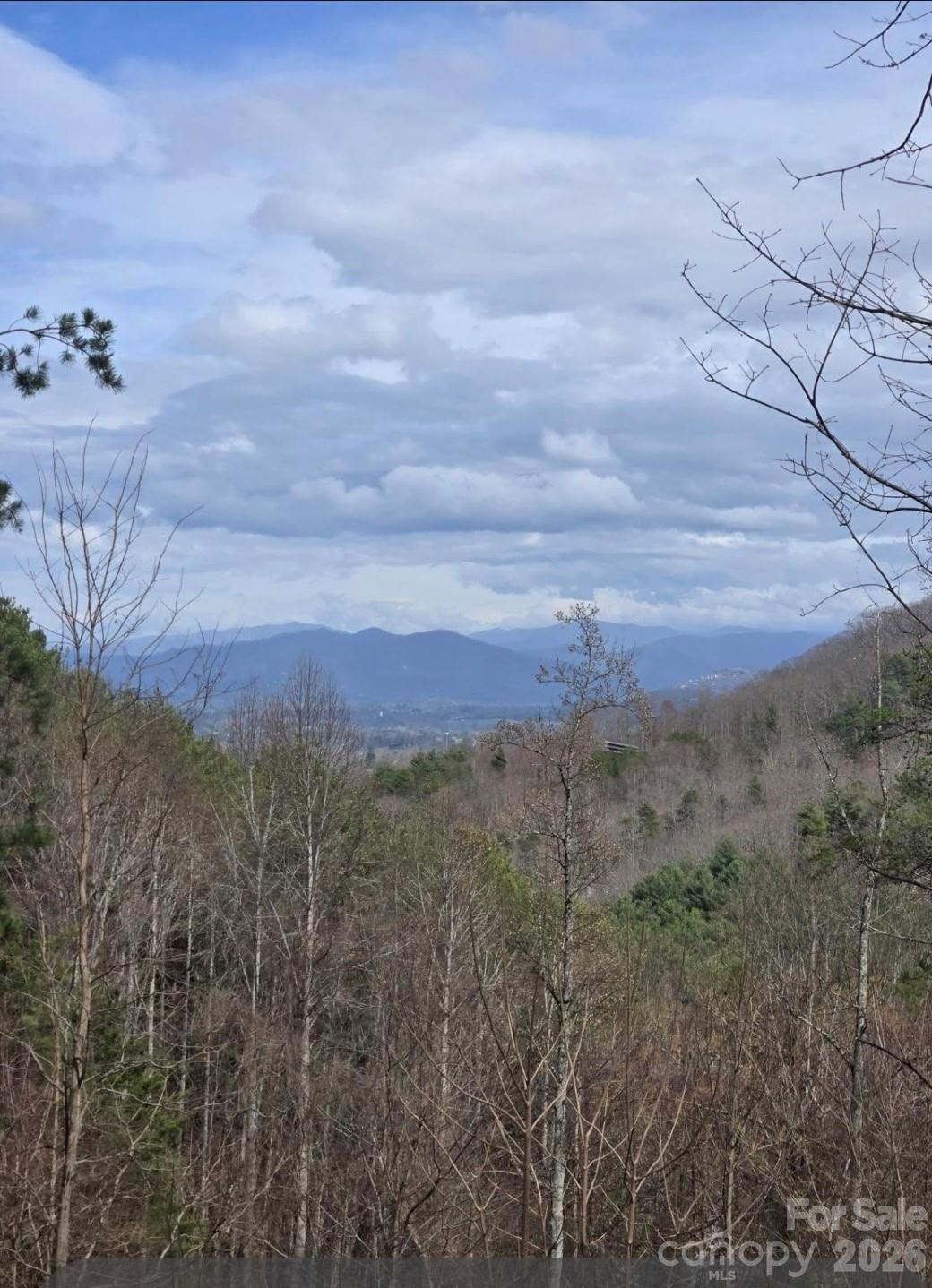 92 Mountain Magnolia Drive - Photo 2