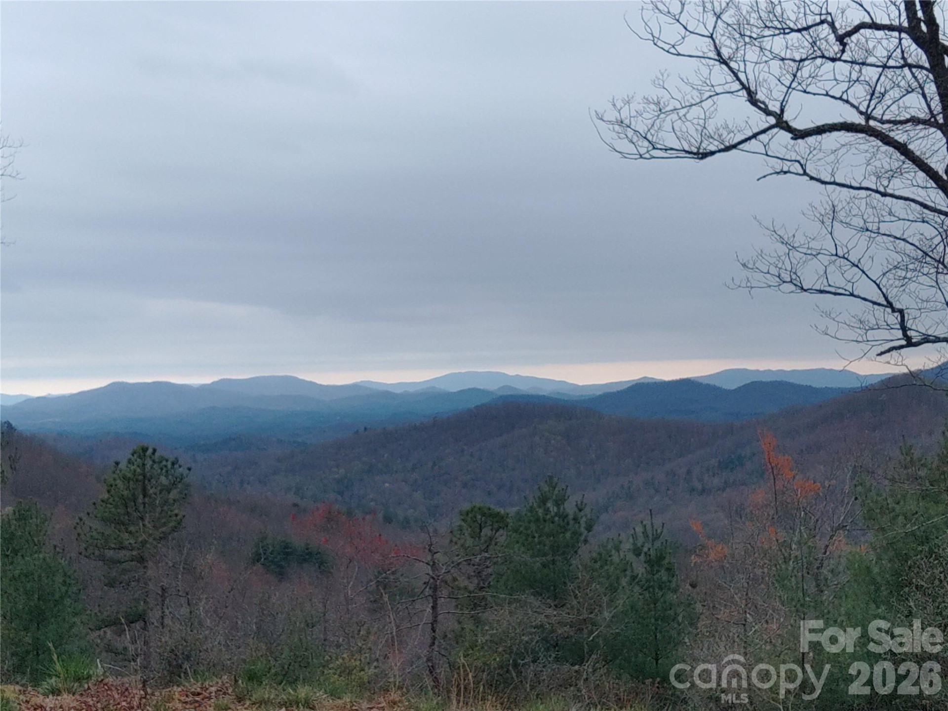 92 Mountain Magnolia Drive - Photo 5