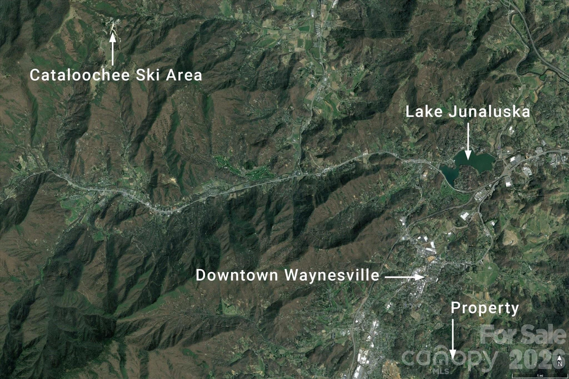 TBD Crymes Cove Road #8-A - Photo 3