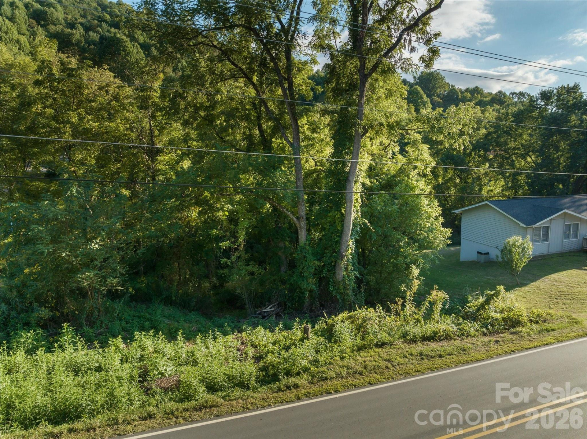 TBD Crymes Cove Road #8-A - Photo 4