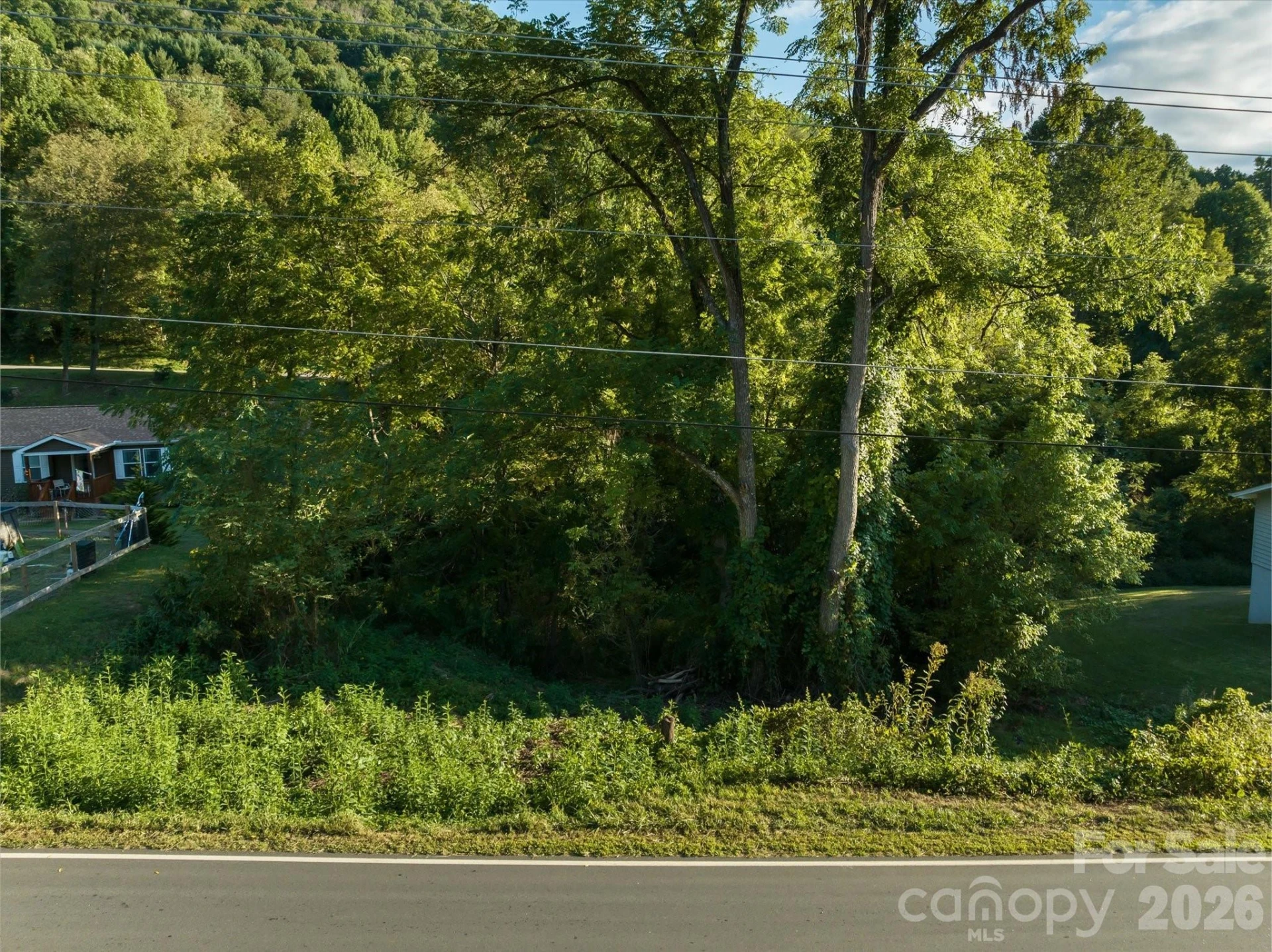 TBD Crymes Cove Road #8-A - Photo 5