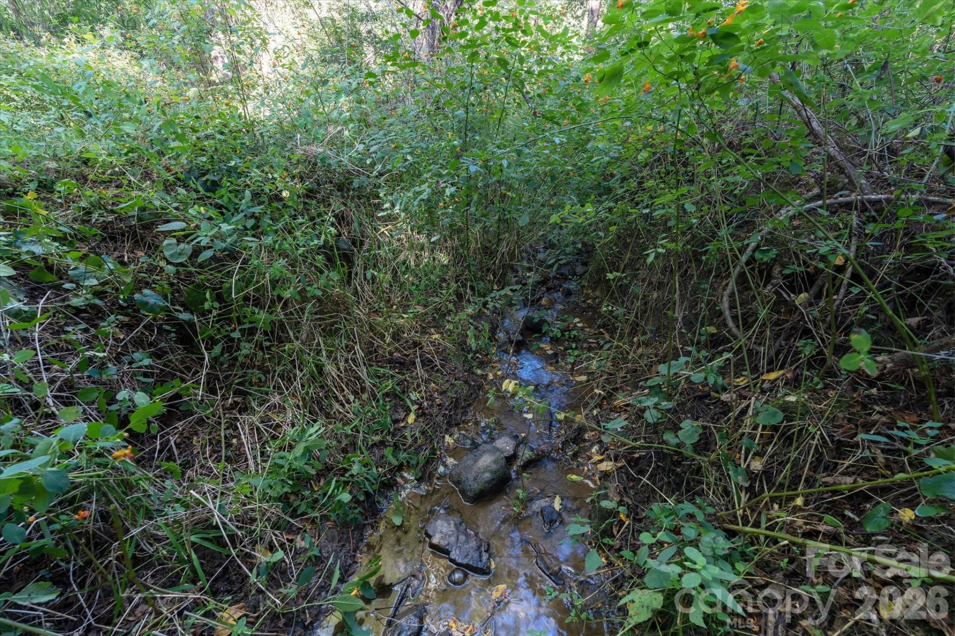 TBD Crymes Cove Road #8-A - Photo 6