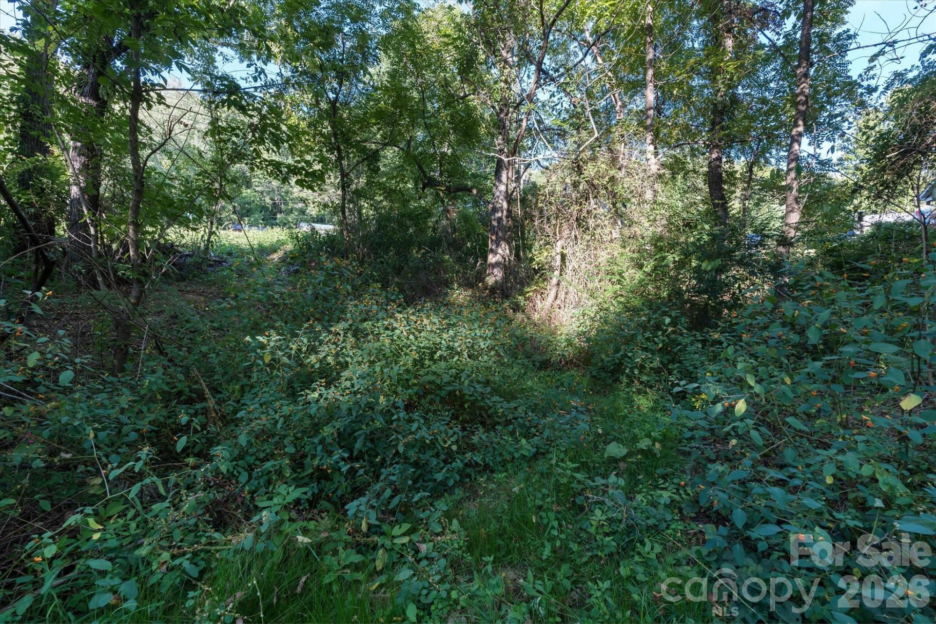 TBD Crymes Cove Road #8-A - Photo 7