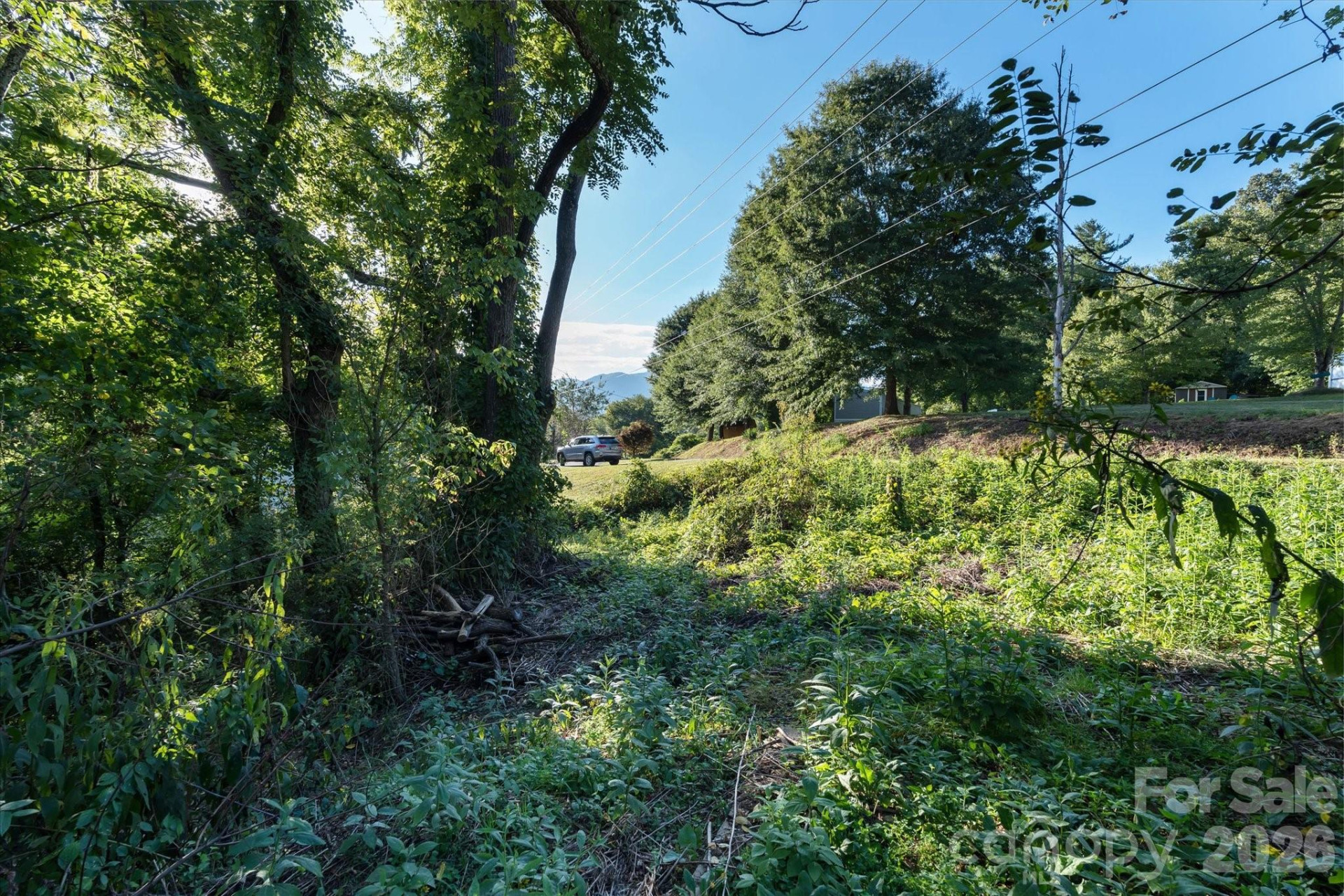 TBD Crymes Cove Road #8-A - Photo 8