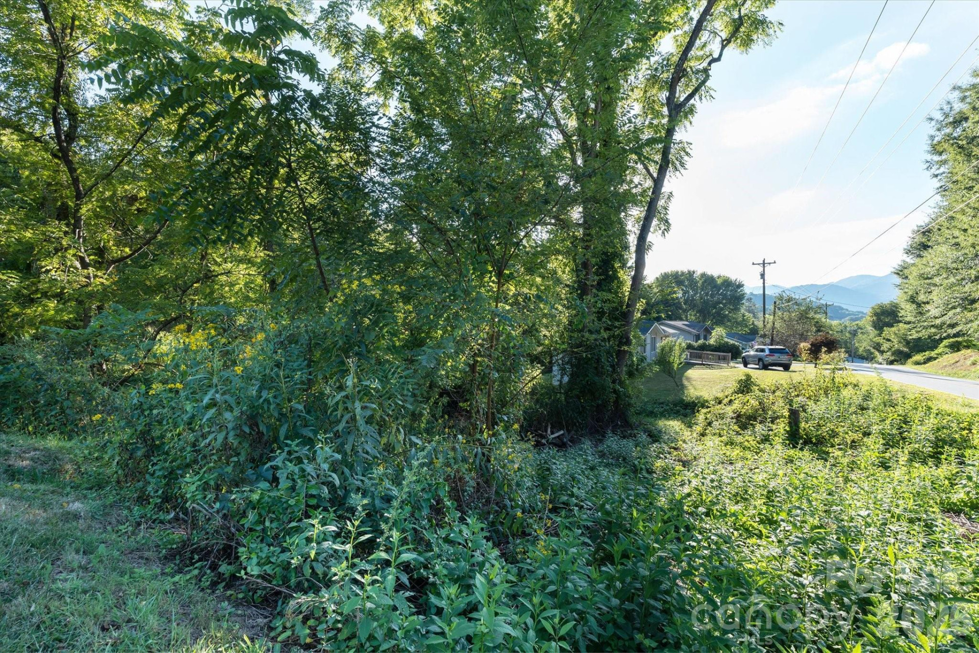 TBD Crymes Cove Road #8-A - Photo 9