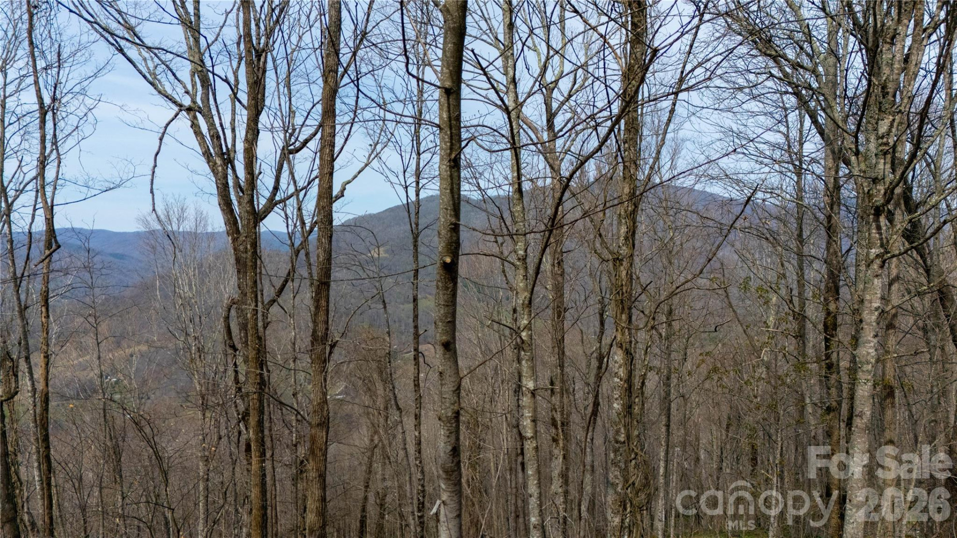 000 Tyler Lane - Photo 2