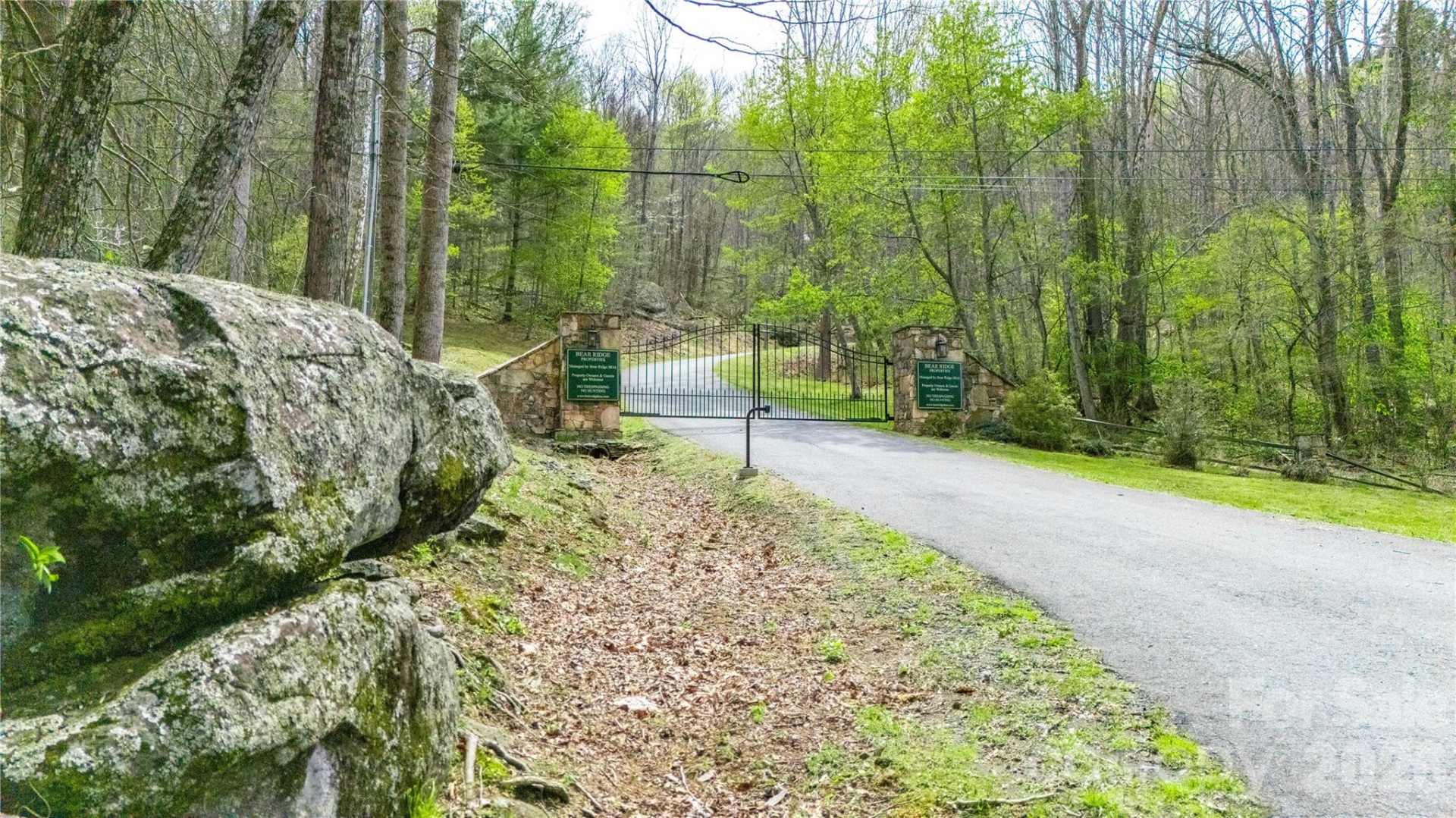 000 Tyler Lane - Photo 15