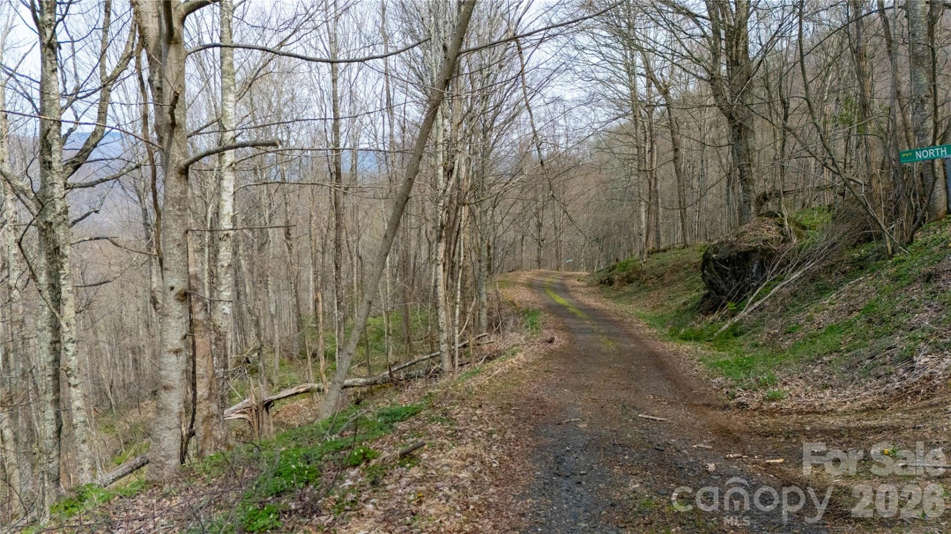000 Tyler Lane - Photo 3