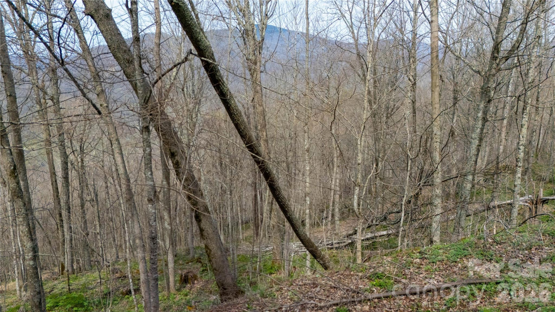 000 Tyler Lane - Photo 4