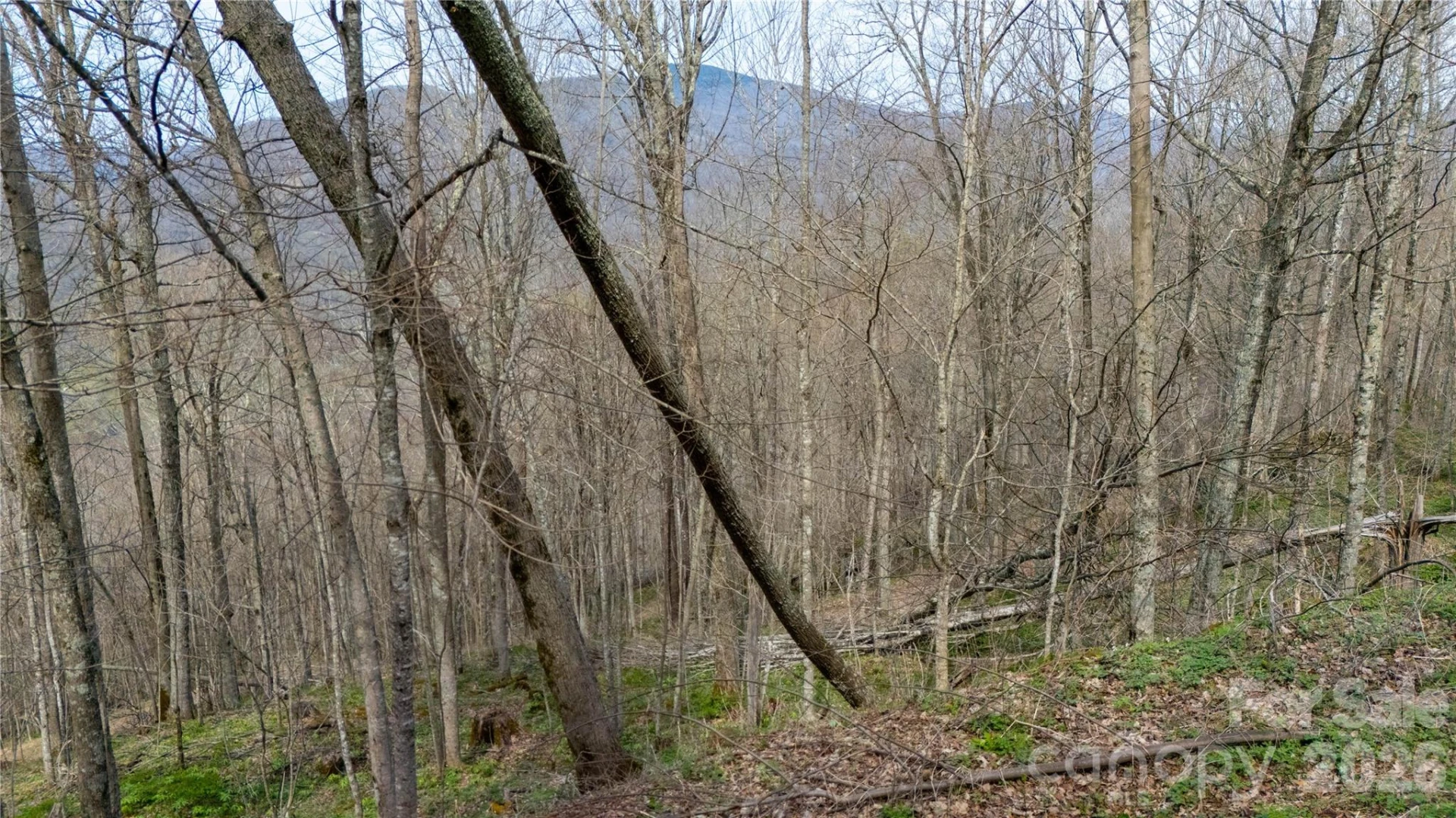 000 Tyler Lane - Photo 4