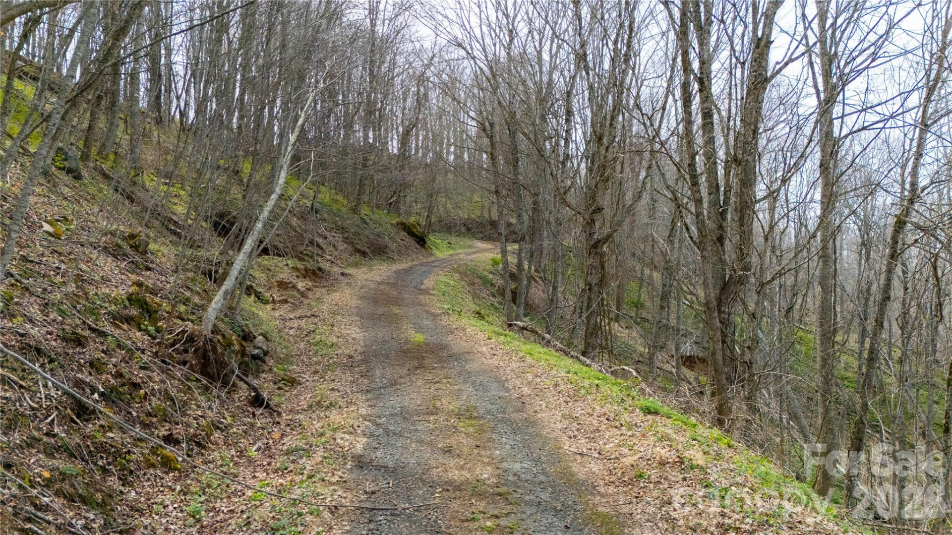 000 Tyler Lane - Photo 5