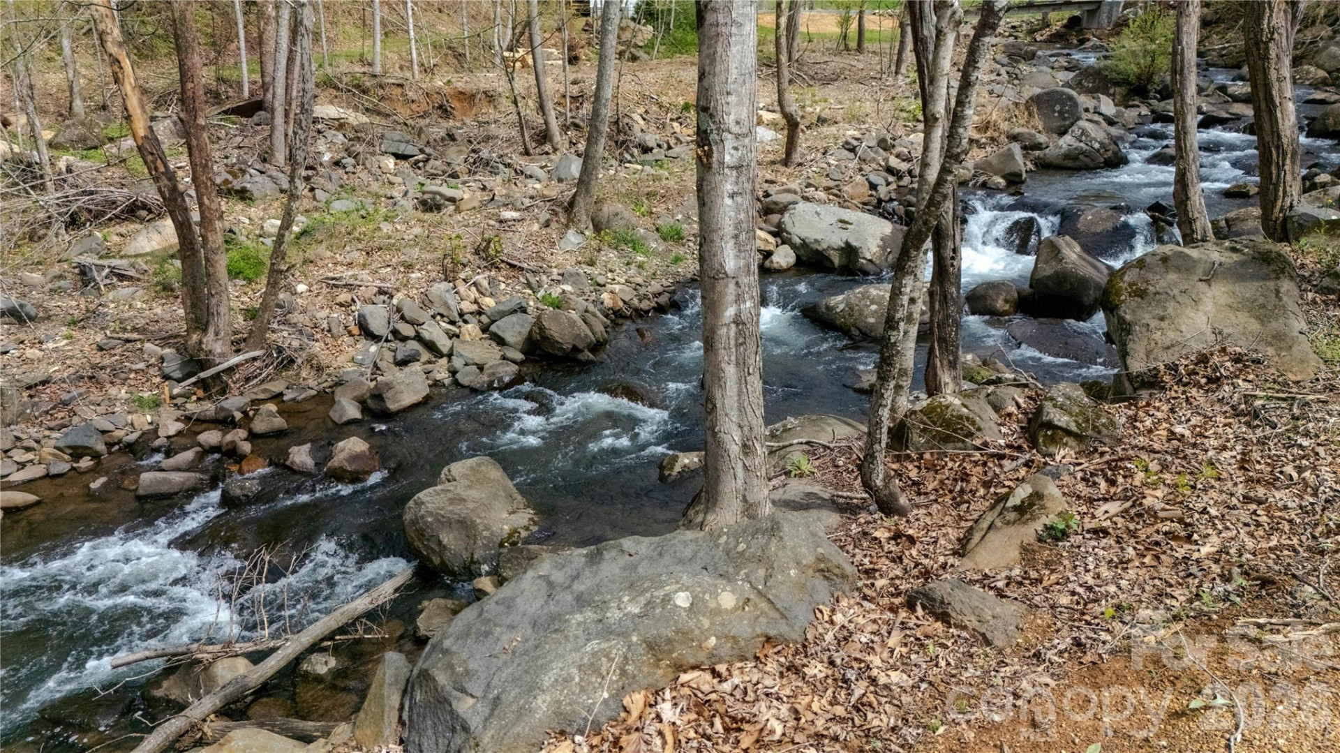 000 Tyler Lane - Photo 9