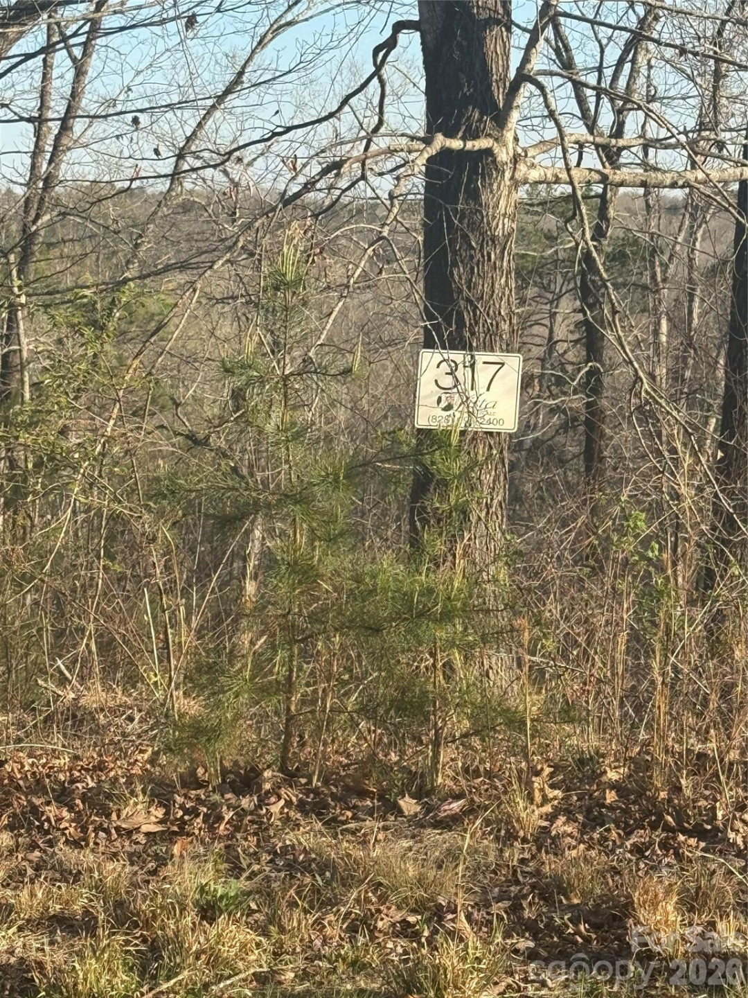 0 Willow Top Lane #317 - Photo 4