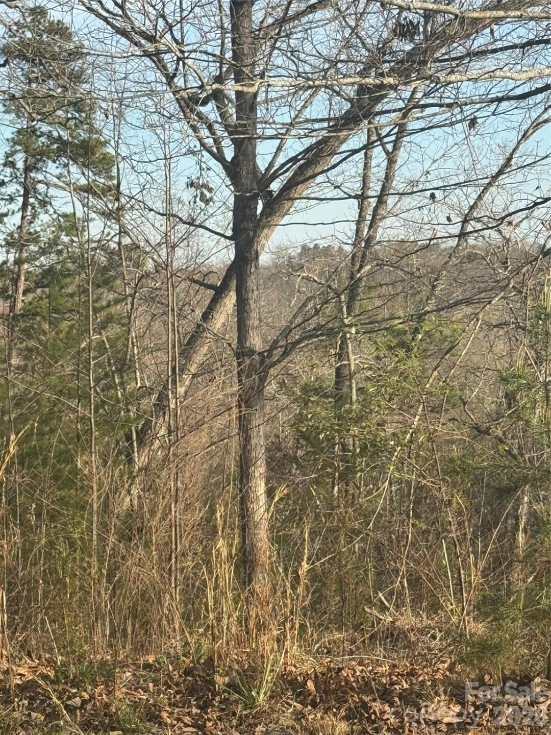 0 Willow Top Lane #317 - Photo 5