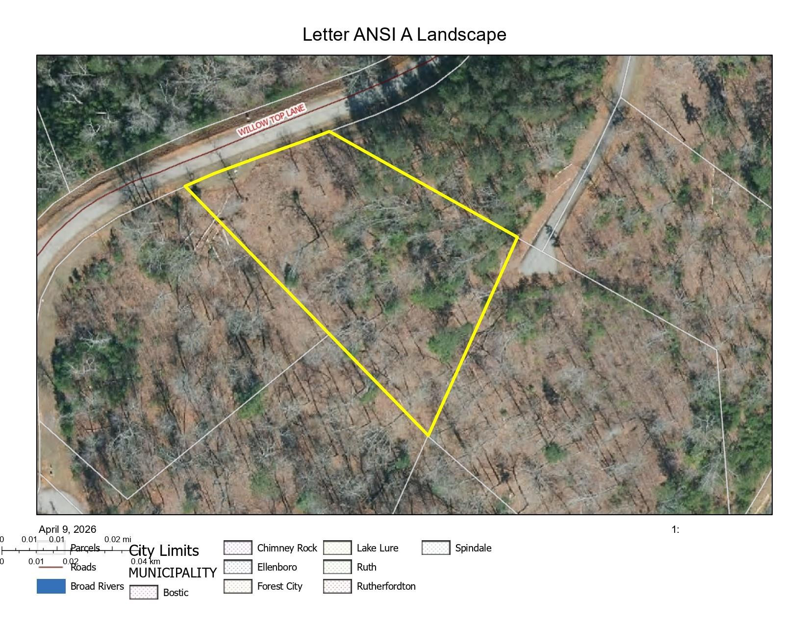 0 Willow Top Lane #317 - Photo 9