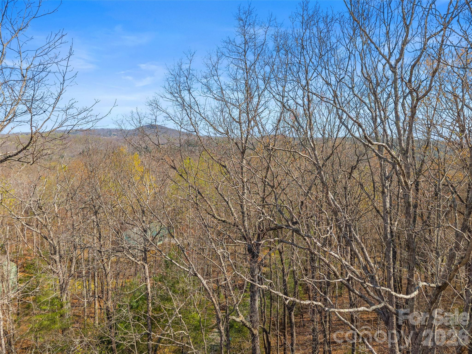 TBD White Oak Terrace #9-10 - Photo 17