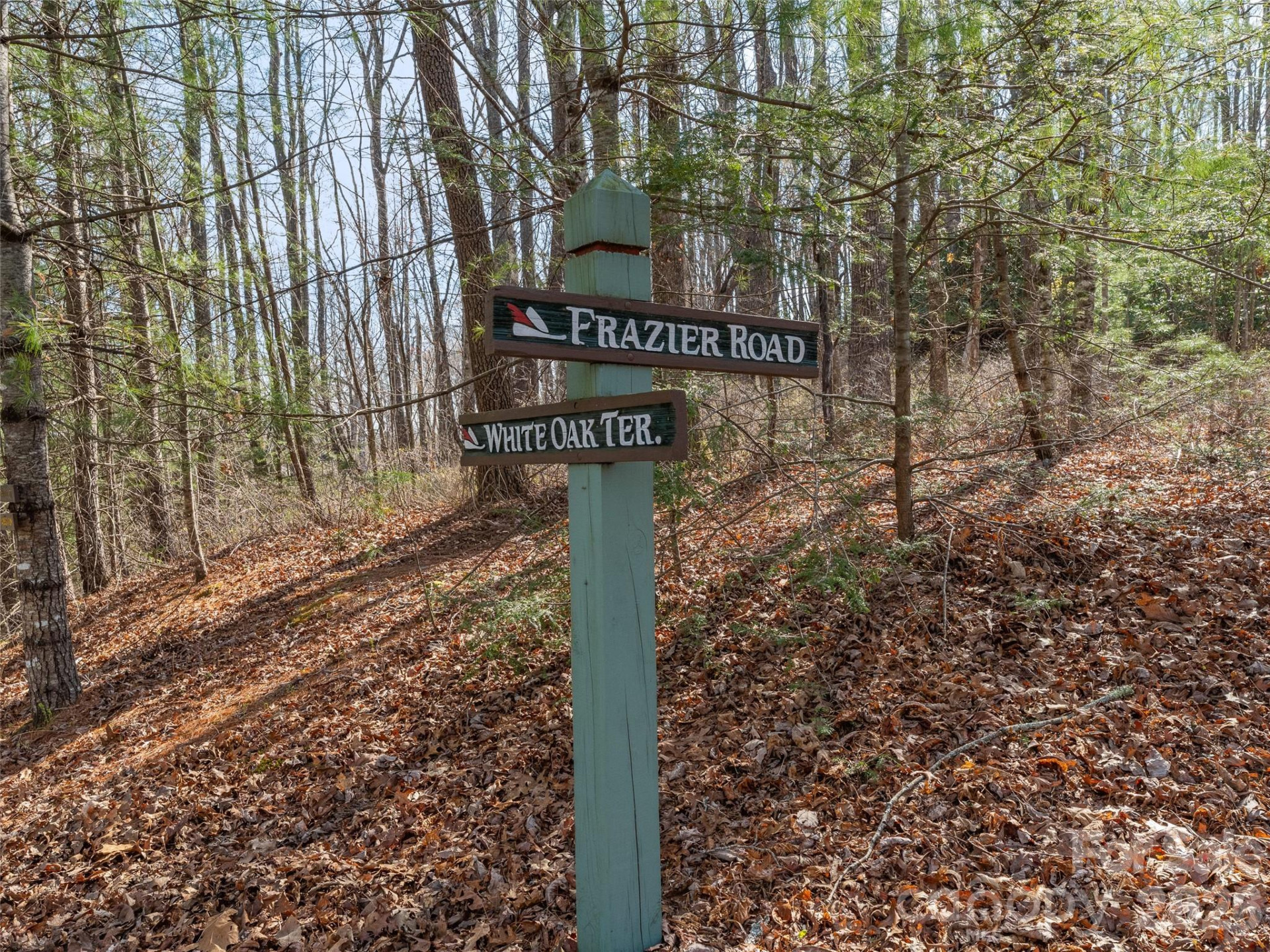 TBD White Oak Terrace #9-10 - Photo 3