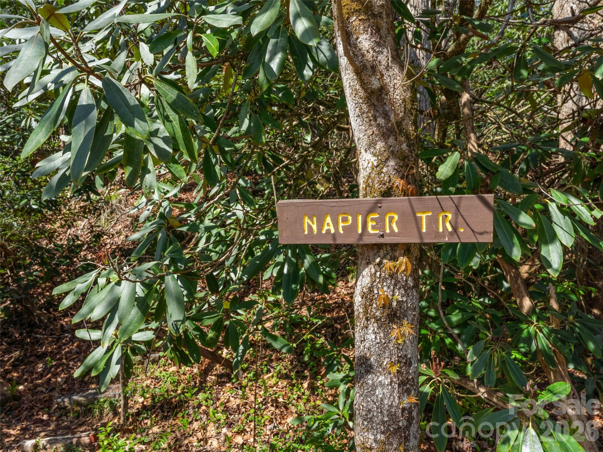 TBD White Oak Terrace #9-10 - Photo 21