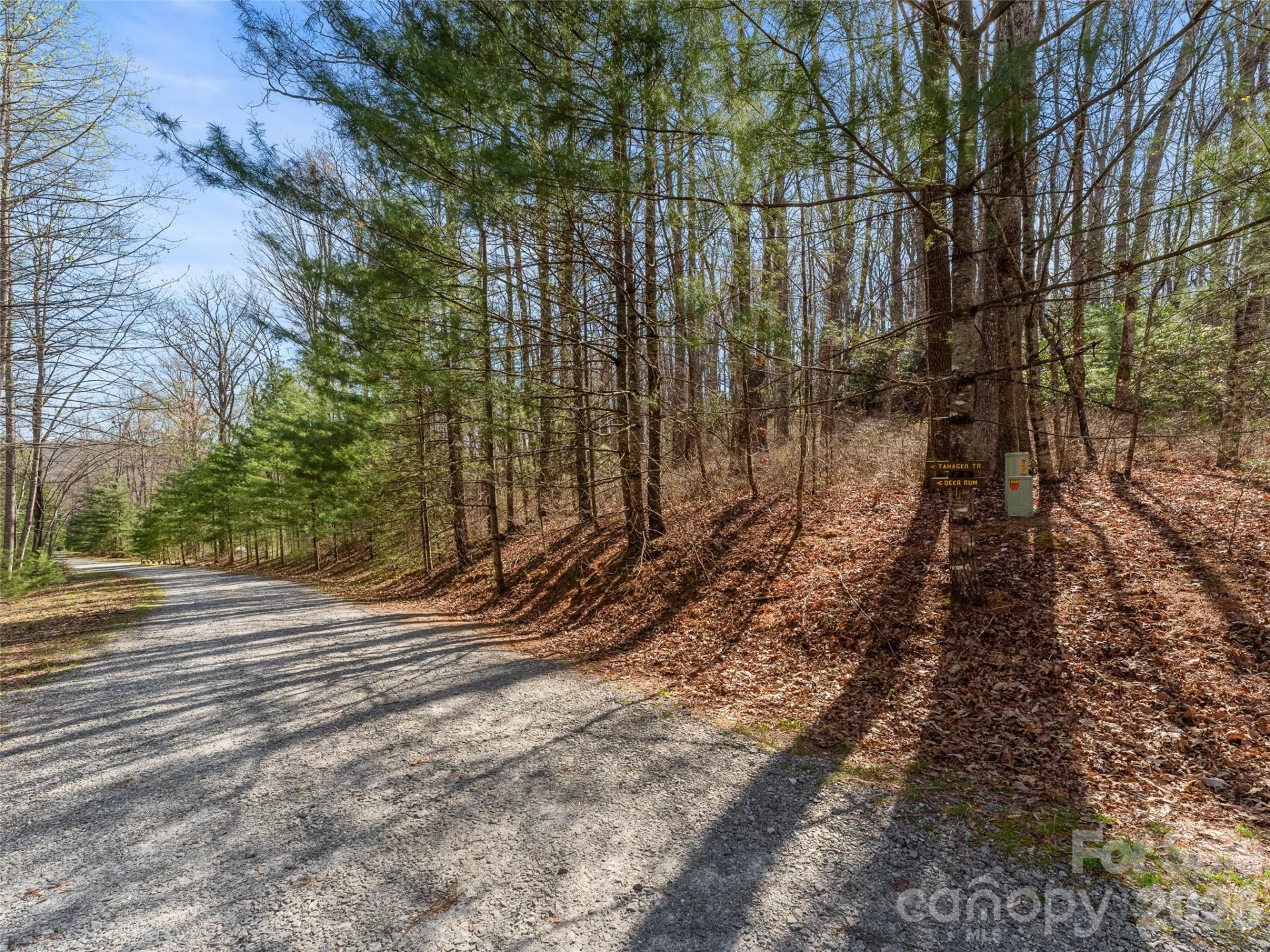 TBD White Oak Terrace #9-10 - Photo 4