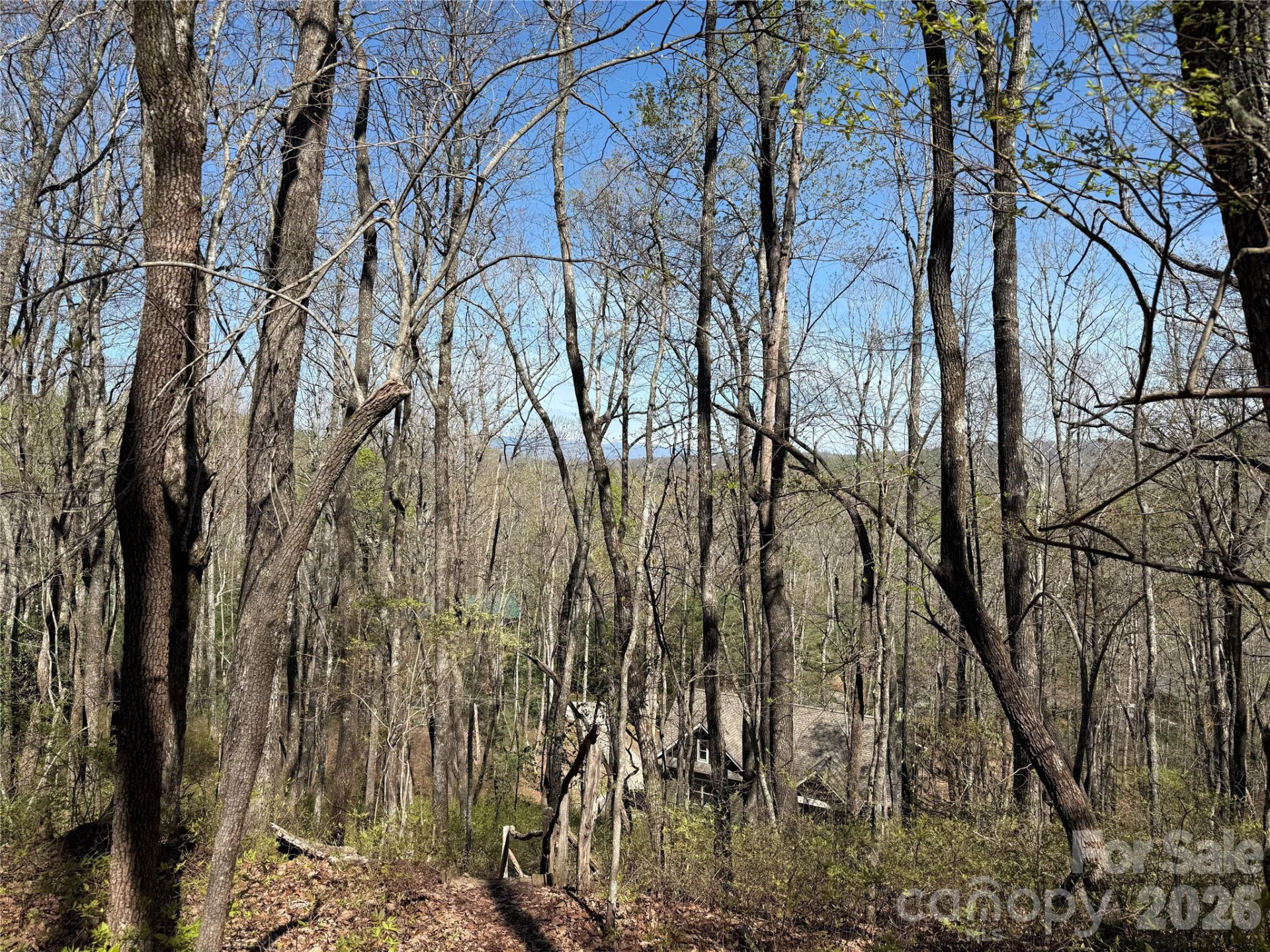 TBD White Oak Terrace #9-10 - Photo 6