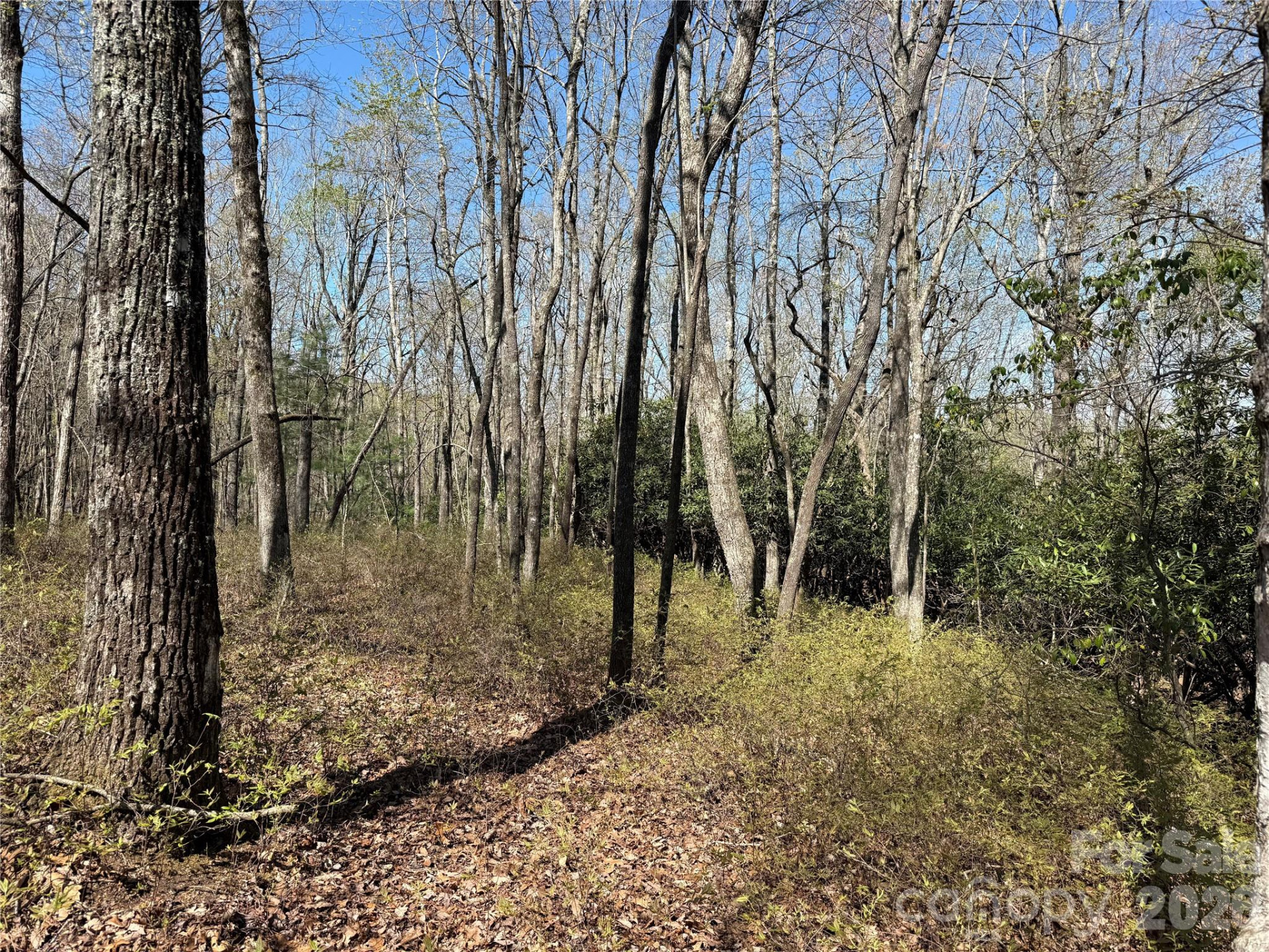 TBD White Oak Terrace #9-10 - Photo 7