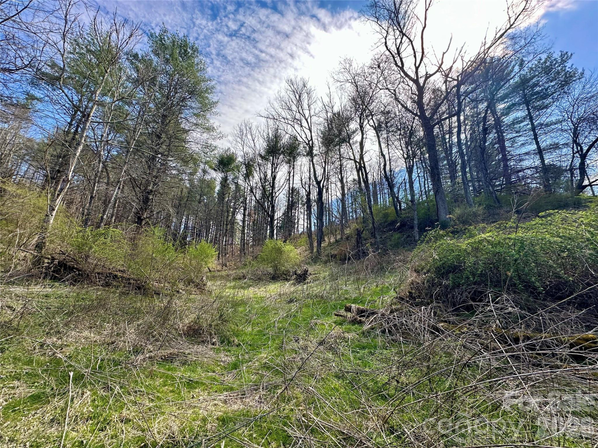 000 Mitchell Avenue - Photo 2