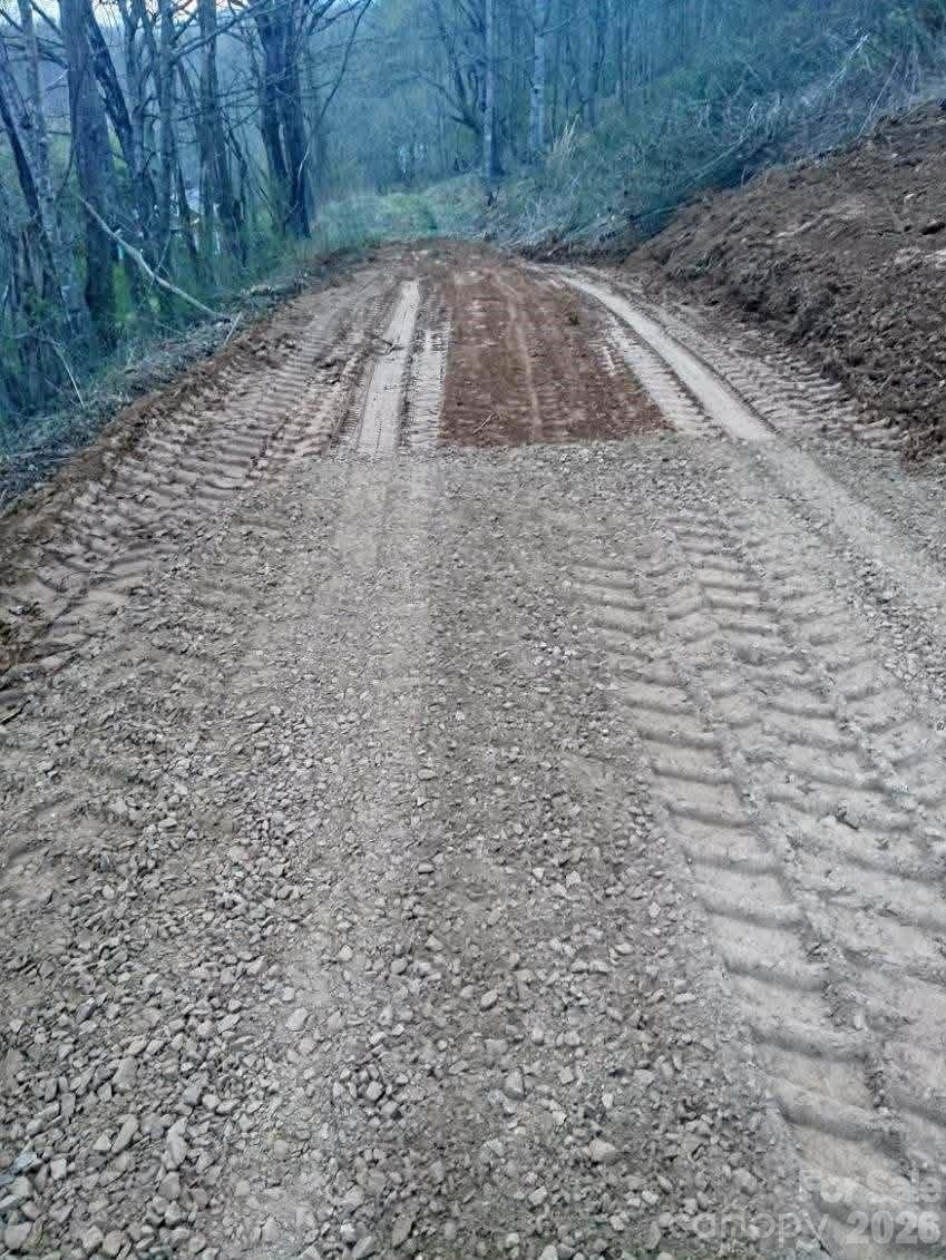 000 Mitchell Avenue - Photo 11